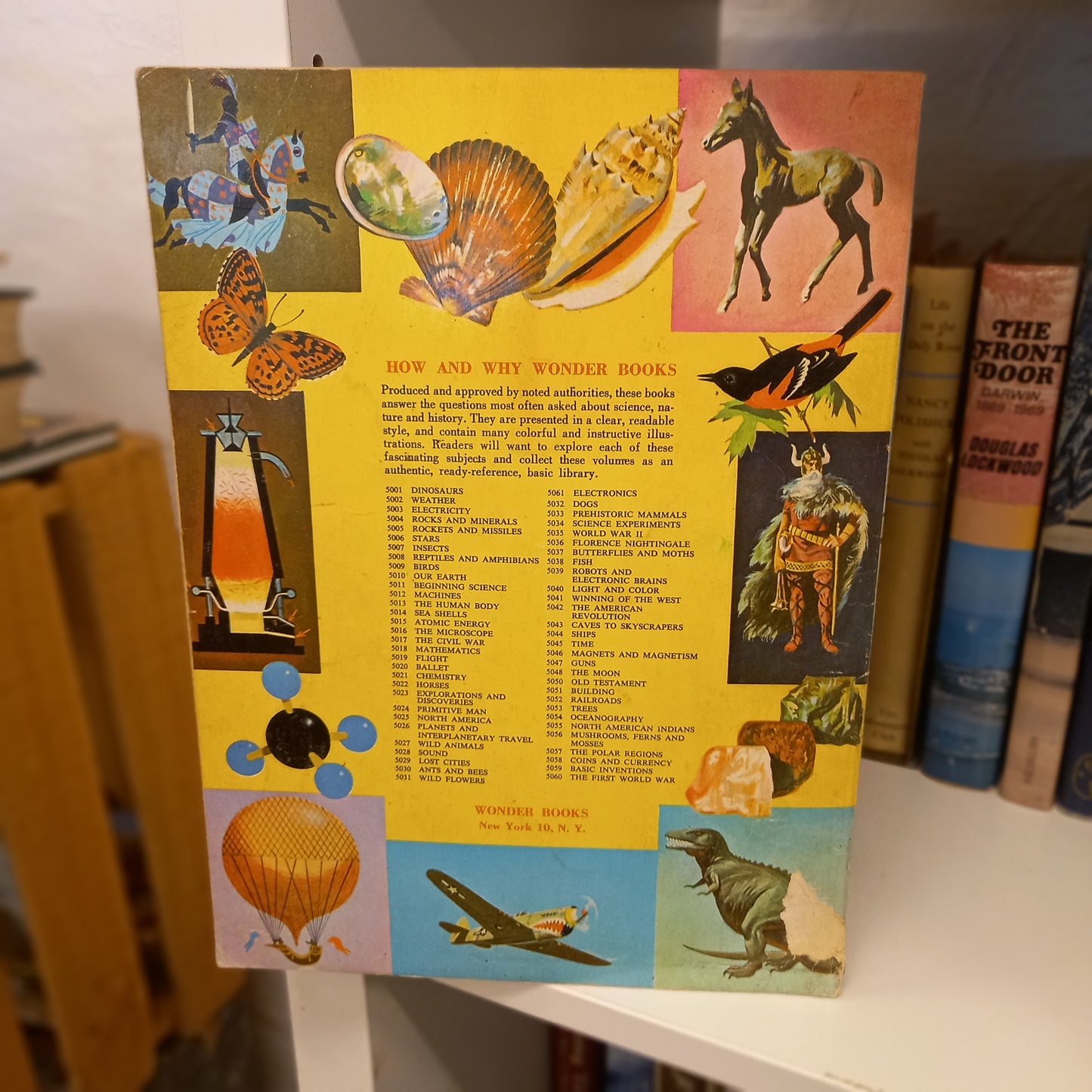 The How and Why Wonder Book of the First World War-Book - Children's educational book / Military history / Illustrated series-Tilbrook and Co