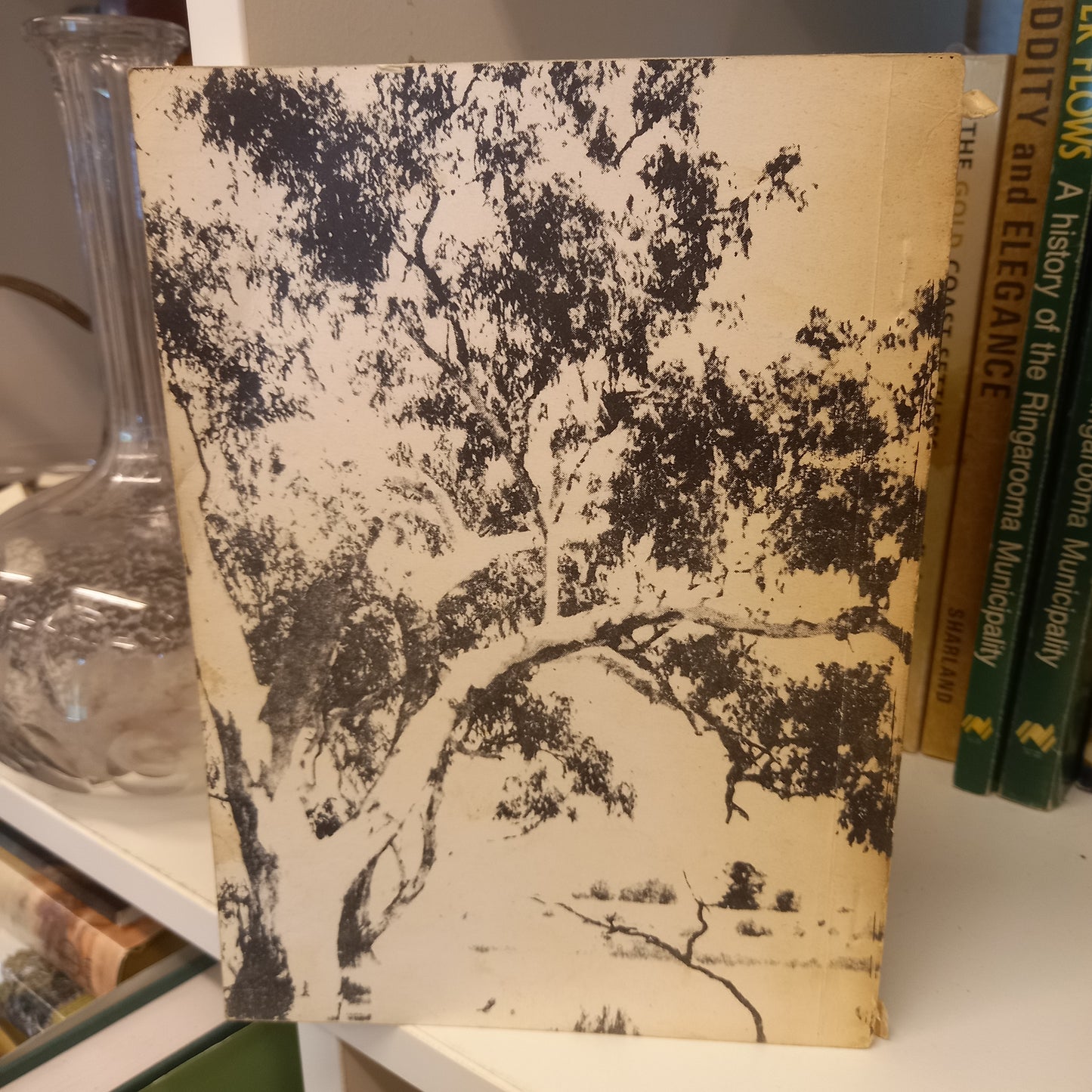 The wayback by Sarah Musgrave-Books-Tilbrook and Co