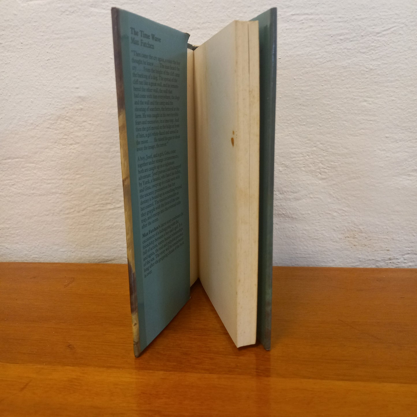 Time Wave by Max Fatchen-Book-Tilbrook and Co