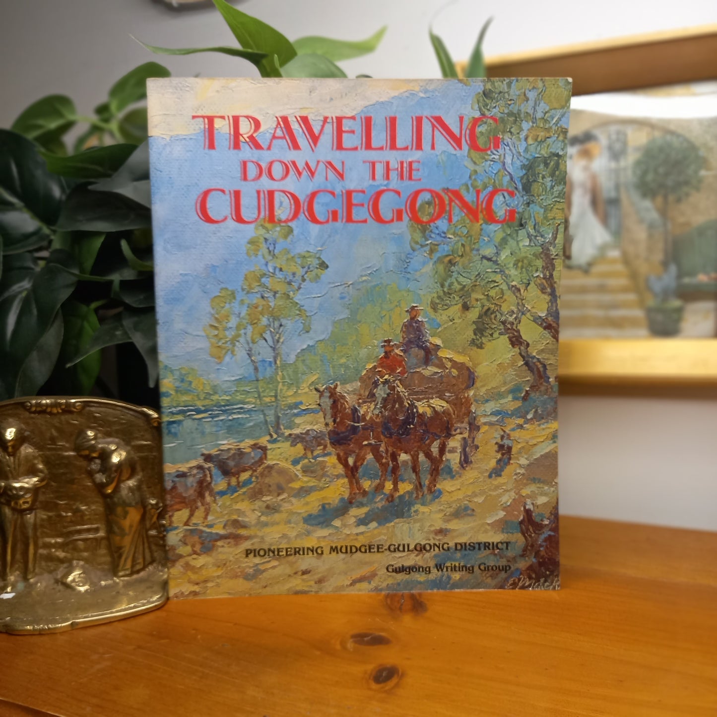 Travelling Down the Cudgegong edited by Marion Dormer-Local History / Regional Australian History-Tilbrook and Co