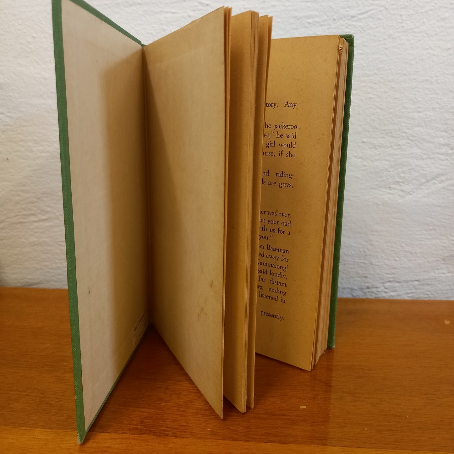 Warrigal Joe a tale of the never never by Donald Barr-Book-Tilbrook and Co