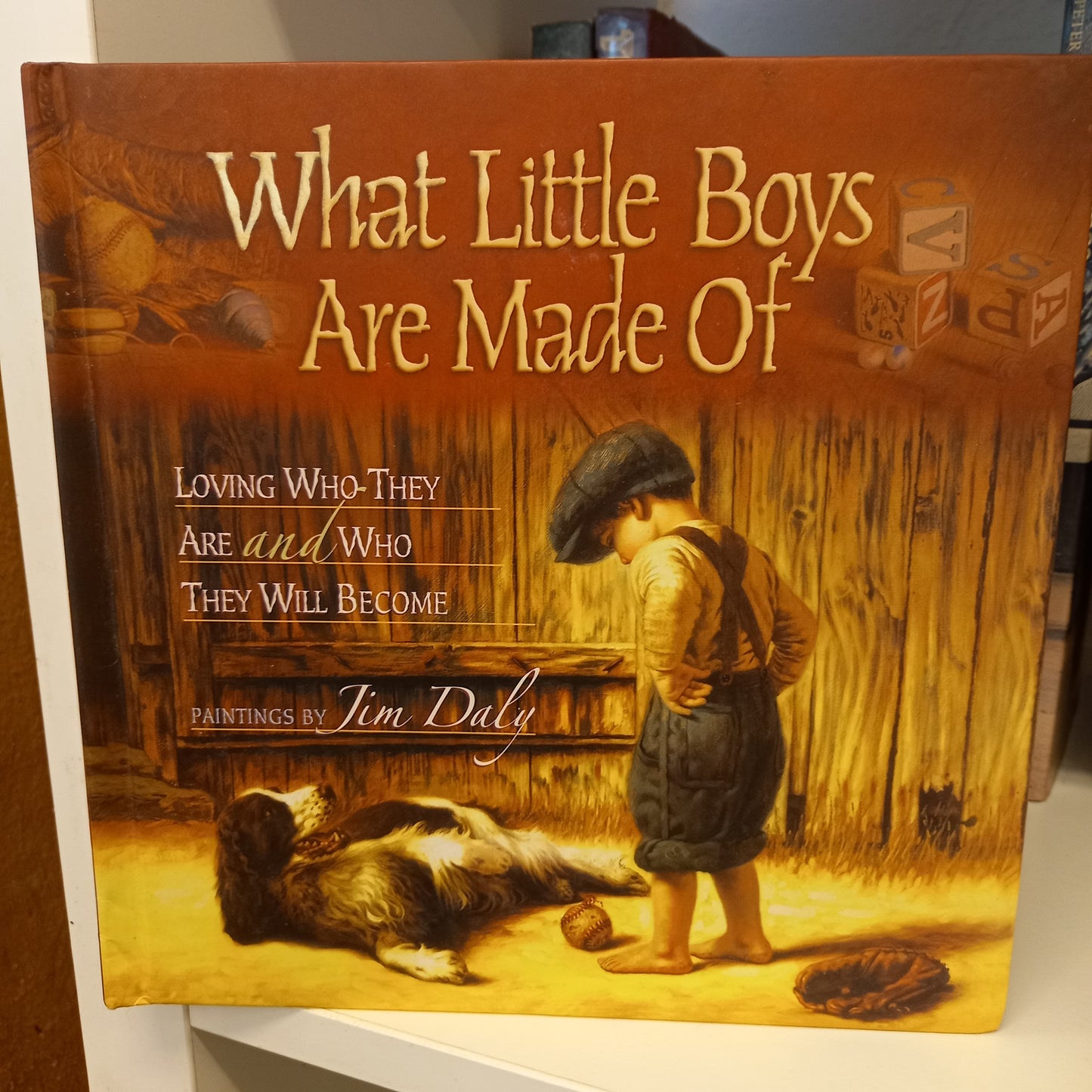 What Little Boys are Made of by Jim Daly-Book-Tilbrook and Co