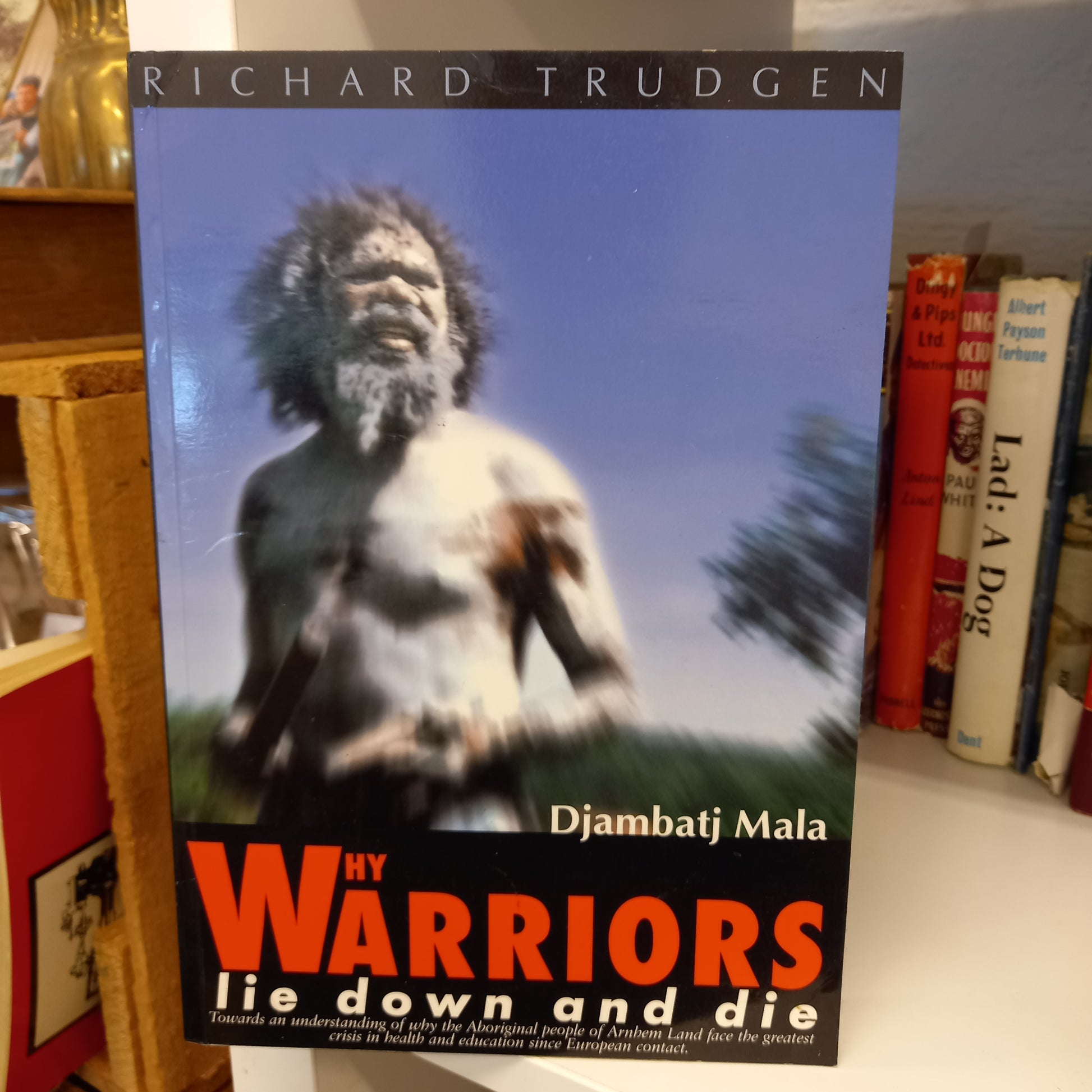 Why Warriors Lie Down and Die by Richard Trudgen-Books-Tilbrook and Co
