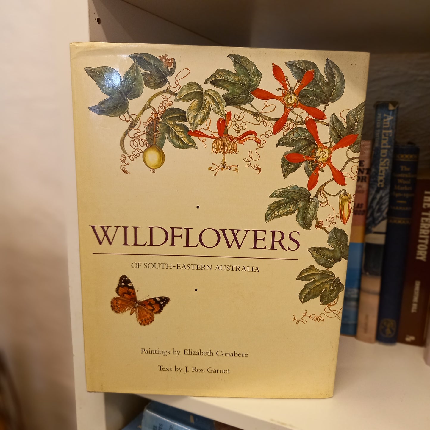 Wildflowers of South-eastern Australia paintings by J Ros Garnet-Book-Tilbrook and Co