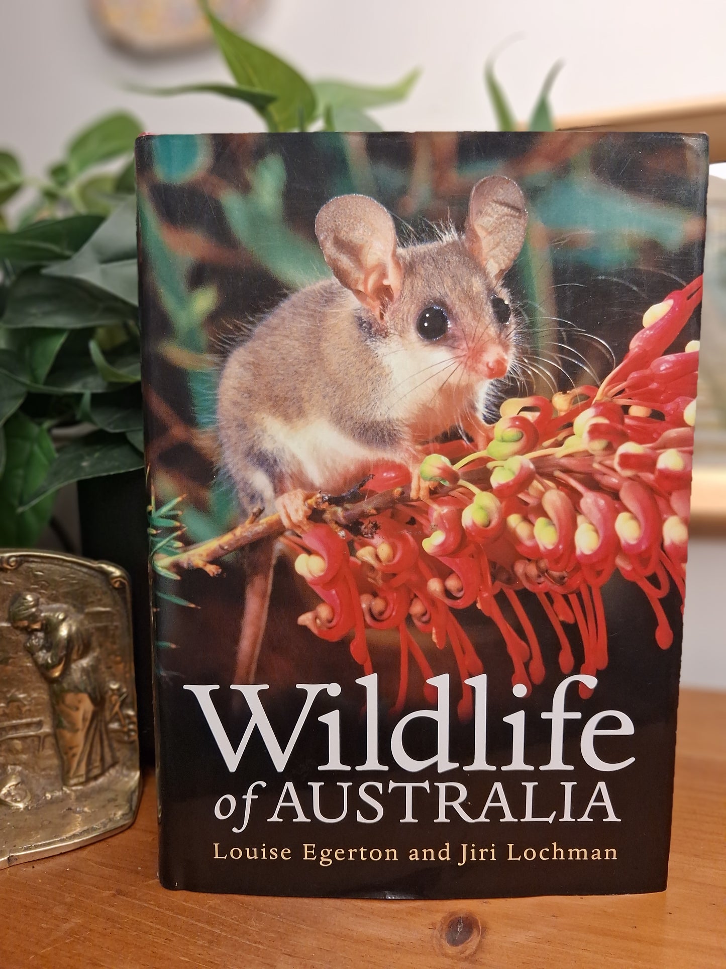 Wildlife of Australia by Louise Egerton and Jiri Lochman, 2009 hardcover Australian wildlife reference book with dust jacket.