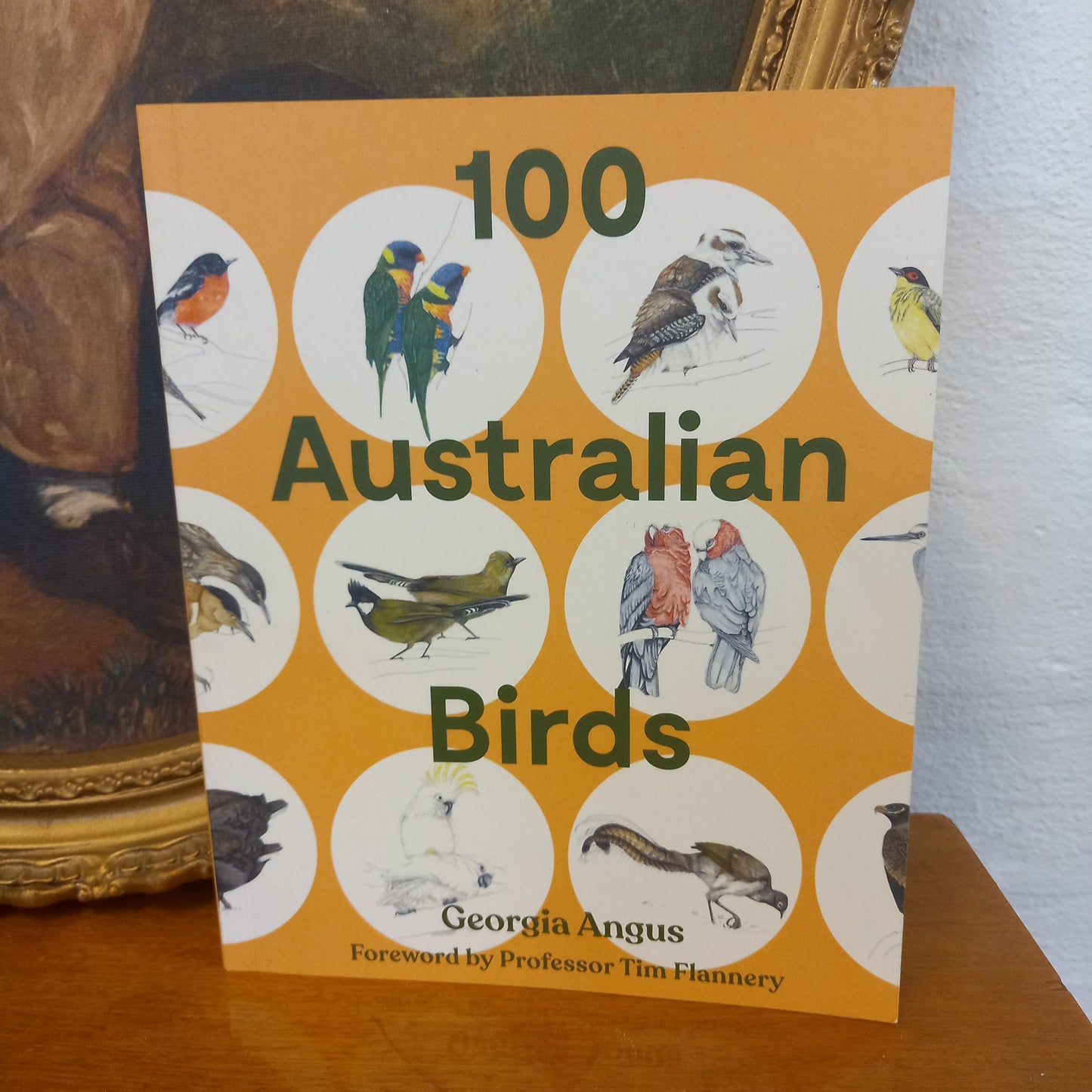 100 Australian Birds by Georgia Angus-Book-Tilbrook and Co