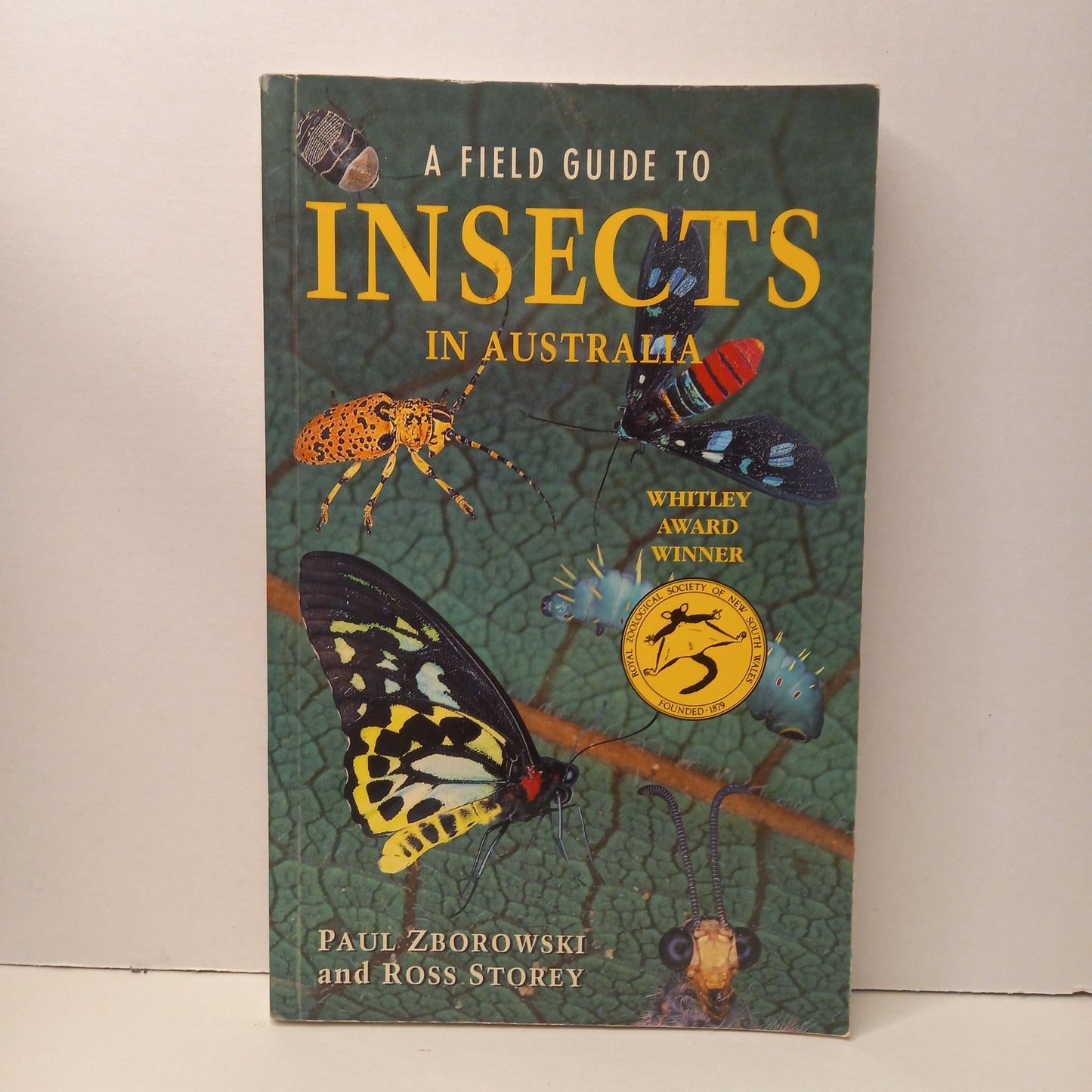 A Field Guide to Insects In Australia by Paul Zborowski and Ross Storey-Book-Tilbrook and Co