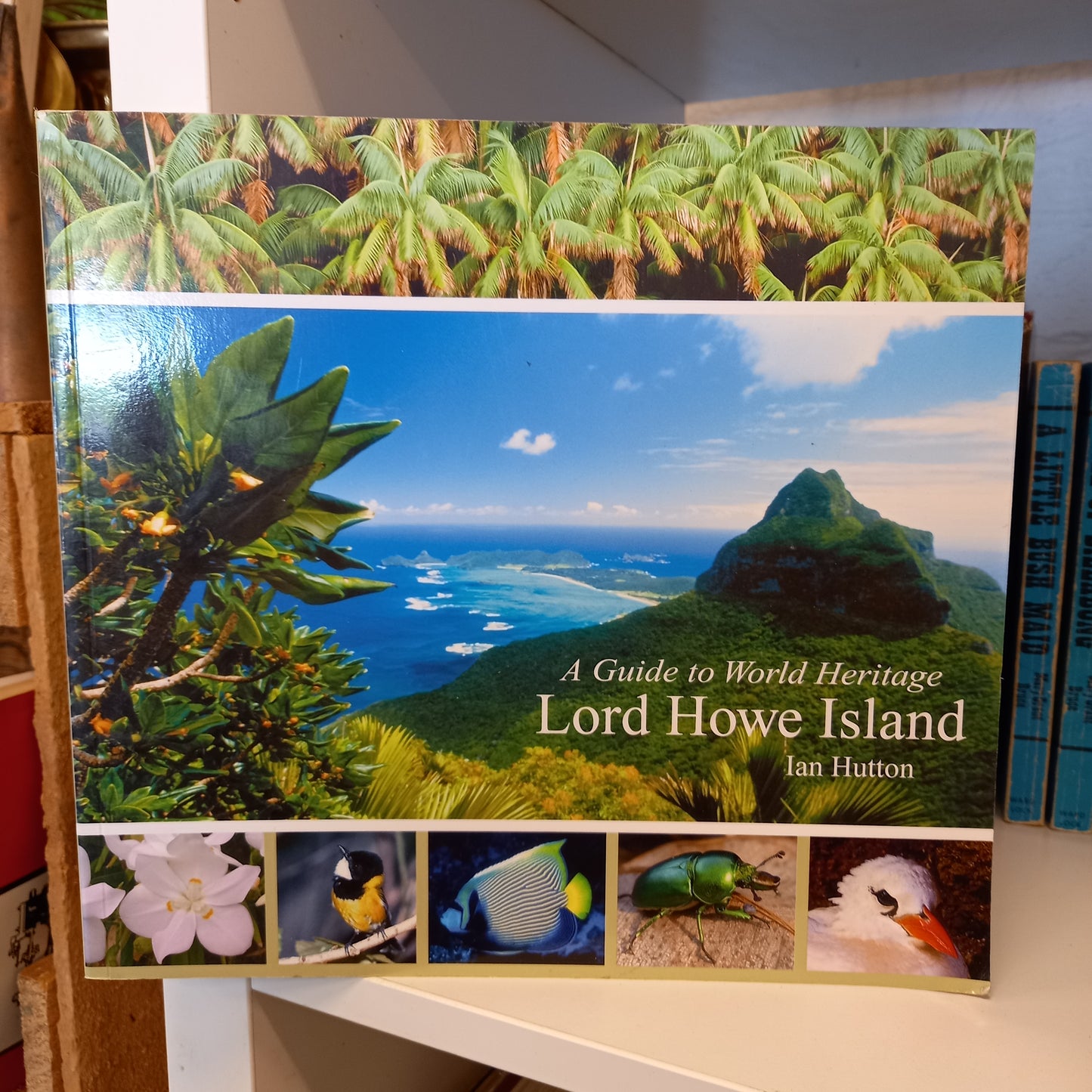 A Guide to World Heritage Lord Howe Island by Ian Hutton-Book-Tilbrook and Co