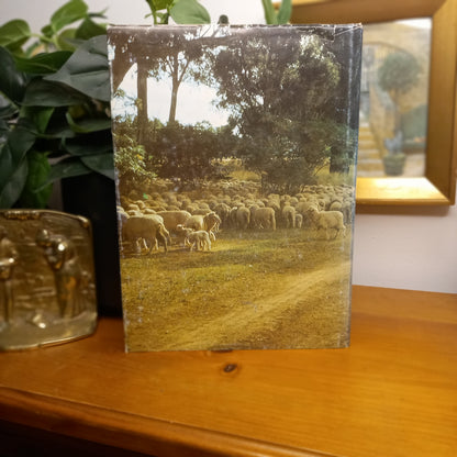 A History of Narromine and District by Philip K. King (1980)-Australian Local History-Tilbrook and Co