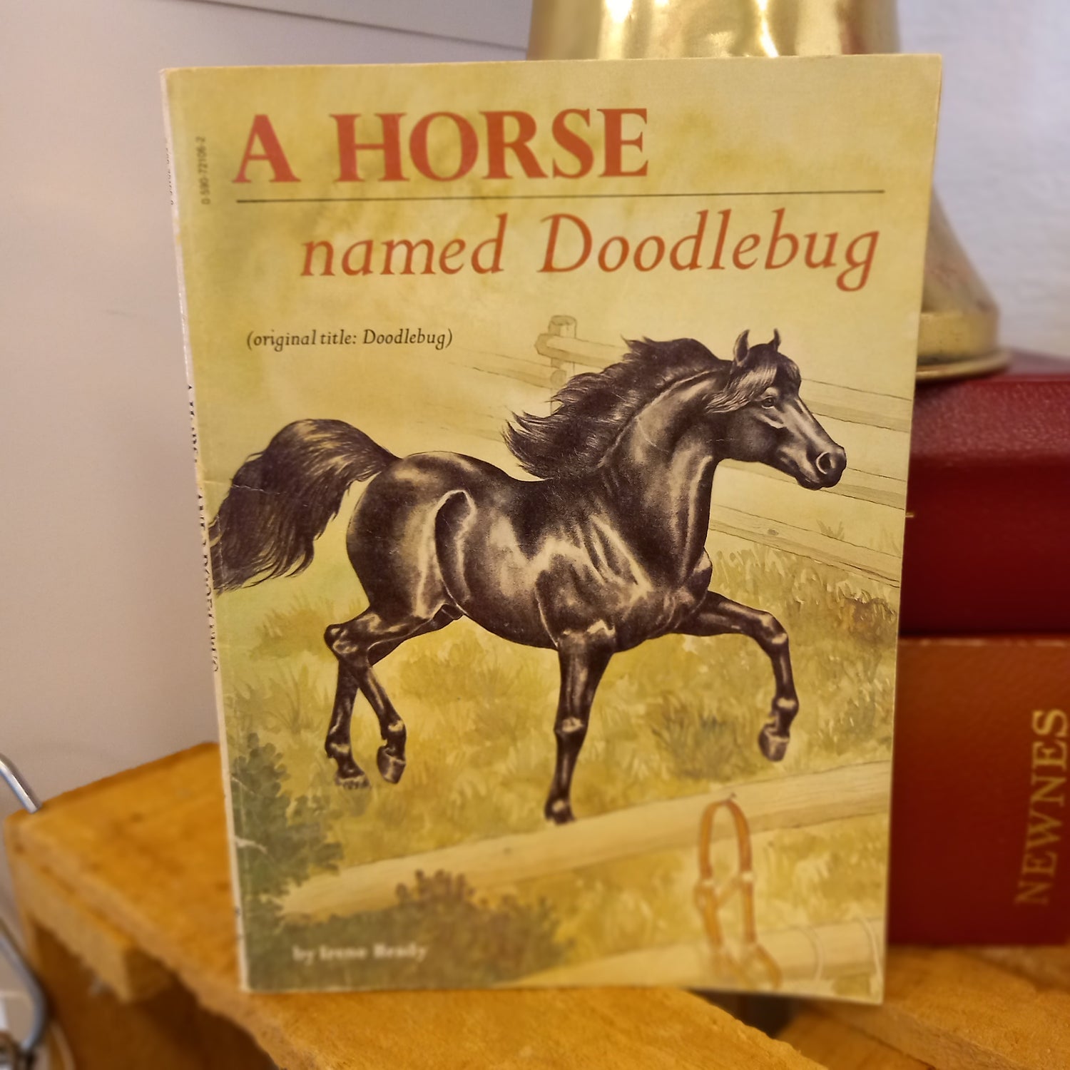 A Horse Named Doodlebug by Irene Brady (1977, Scholastic Commonwealth Edition)-Vintage Children's Animal Story-Tilbrook and Co