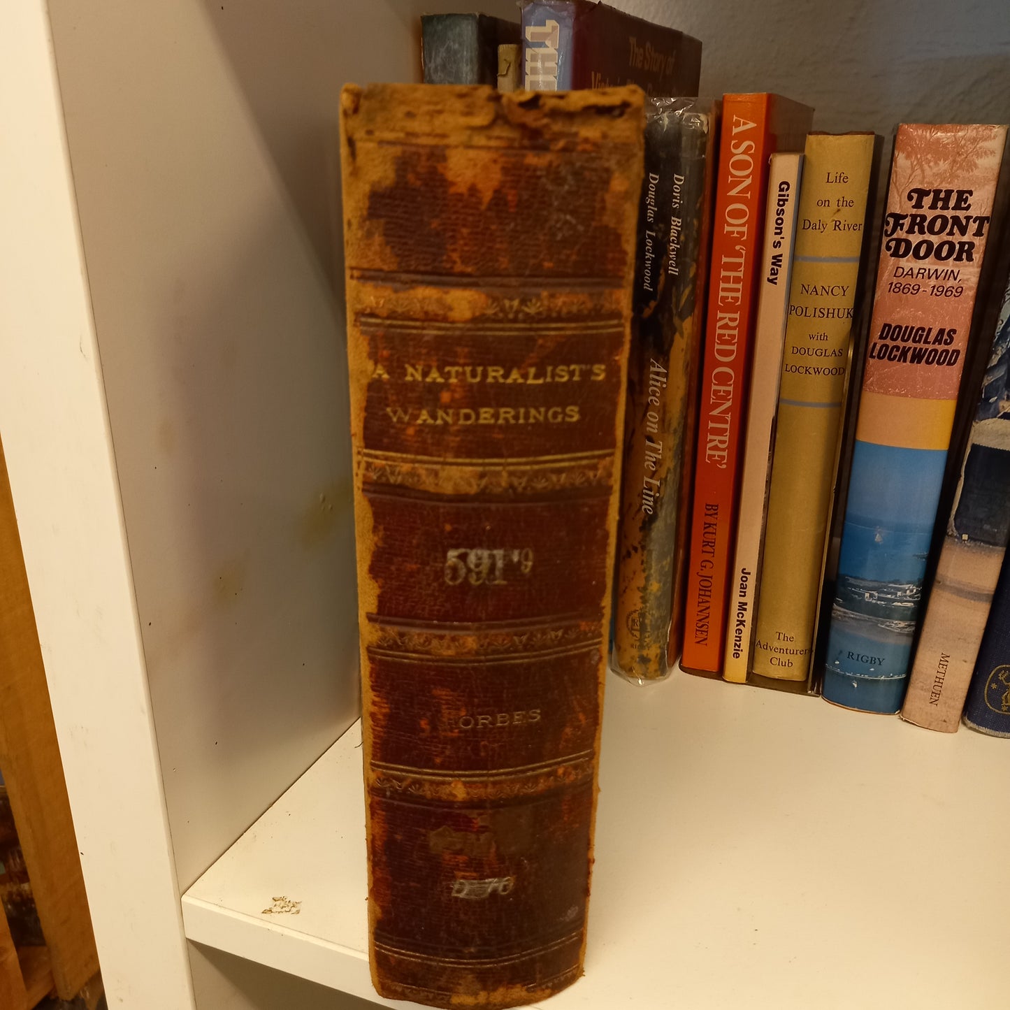 A Naturalists Wanderings in the Eastern Archipelago a narrative of travel and exploration from 1878 to 1883 by Henry Forbes-Books-Tilbrook and Co