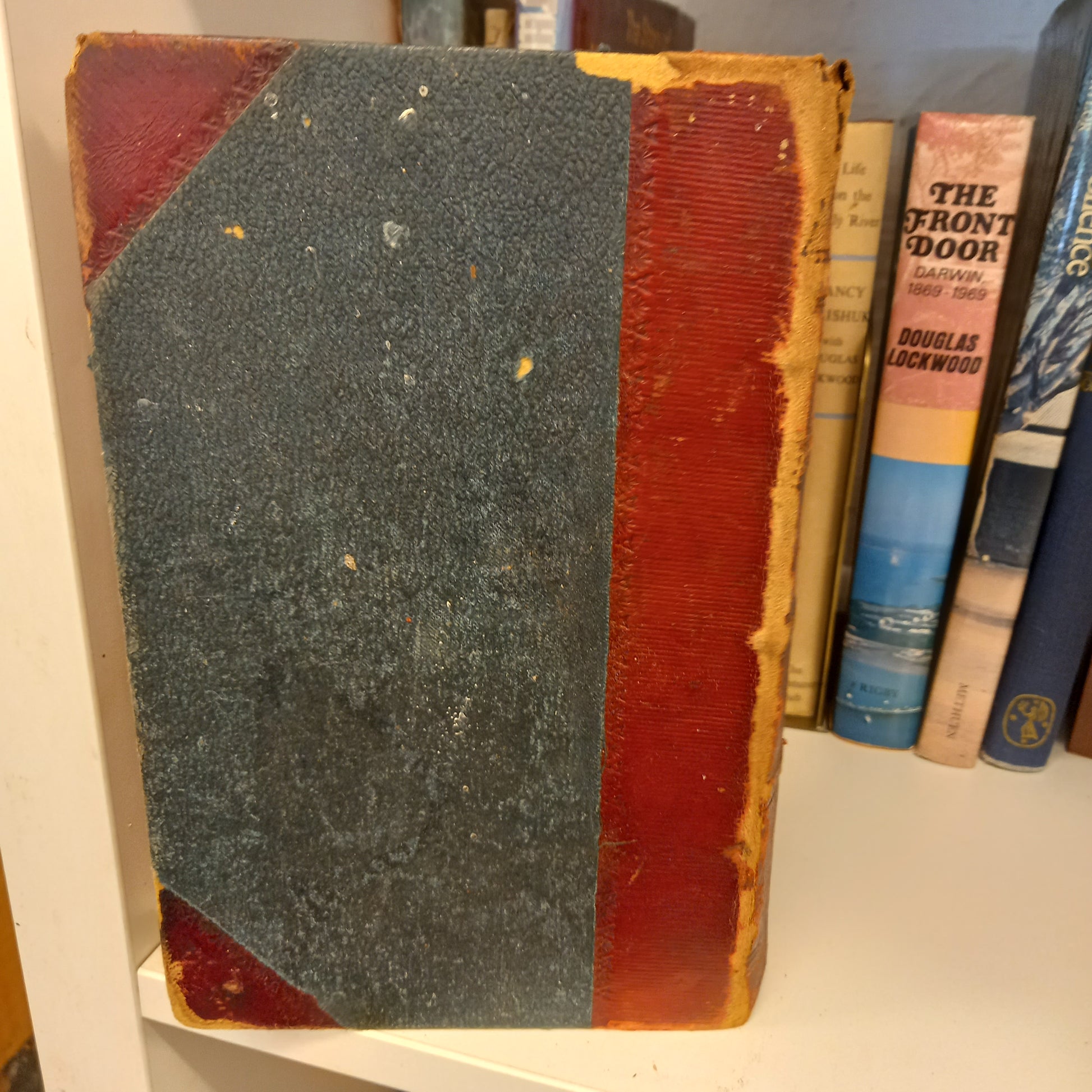 A Naturalists Wanderings in the Eastern Archipelago a narrative of travel and exploration from 1878 to 1883 by Henry Forbes-Books-Tilbrook and Co