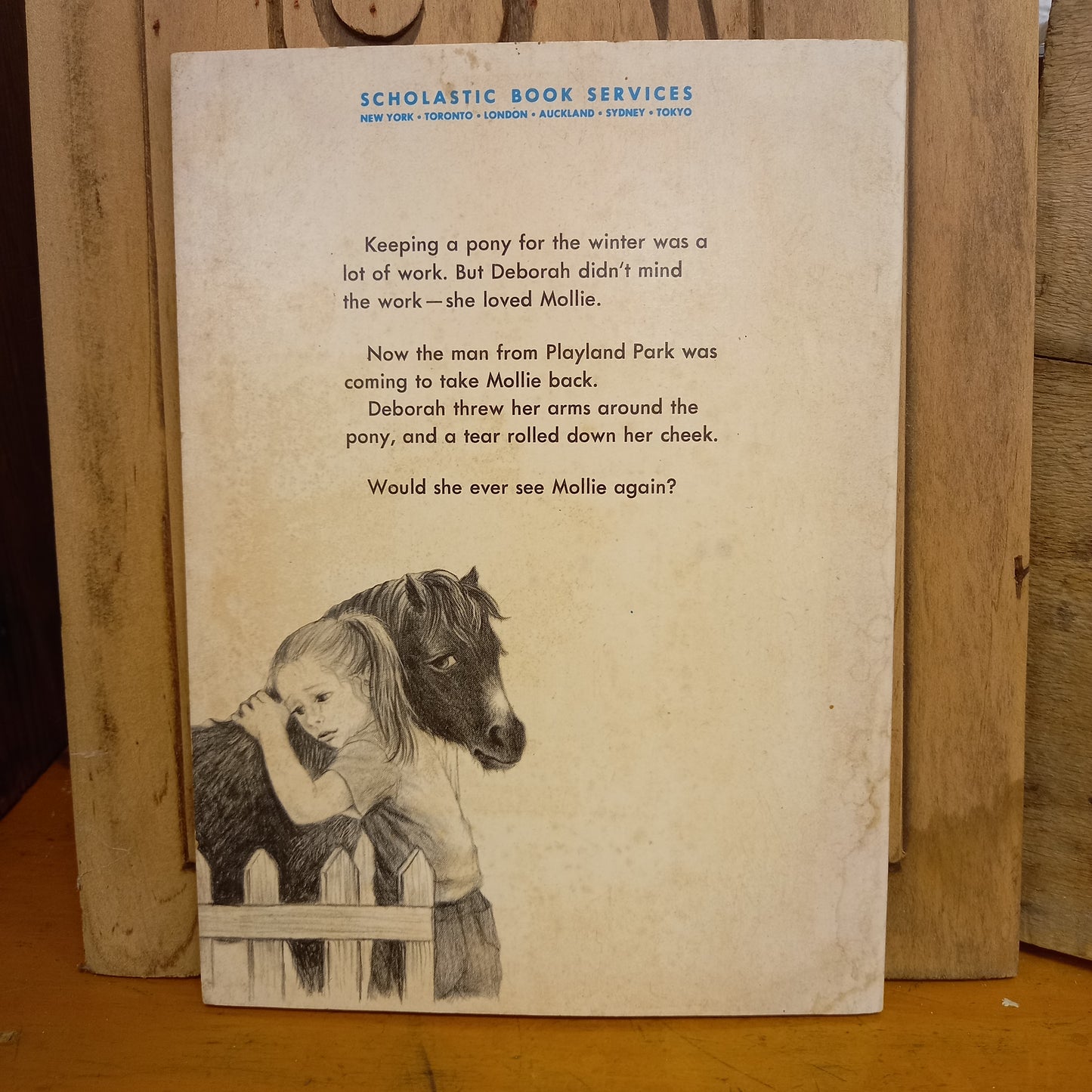 A Pony for the Winter by Helen Kay-Book-Tilbrook and Co