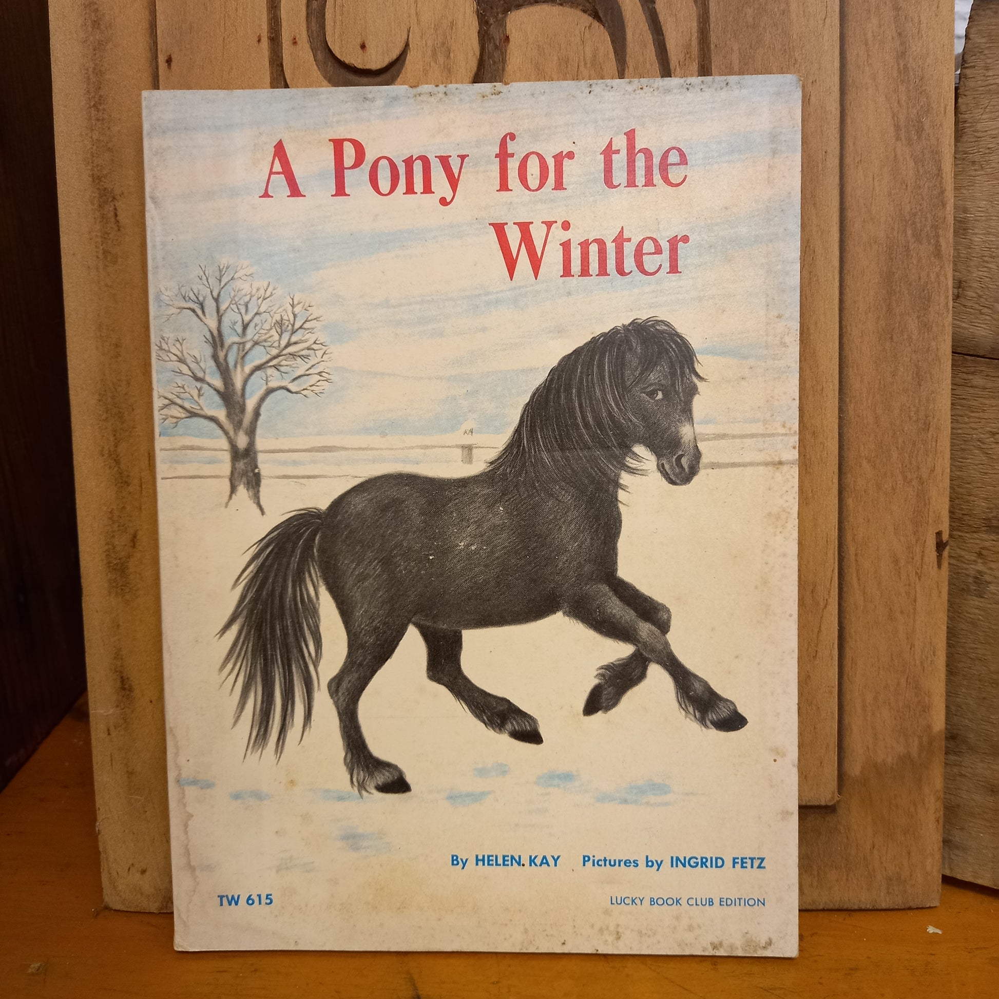 A Pony for the Winter by Helen Kay-Book-Tilbrook and Co