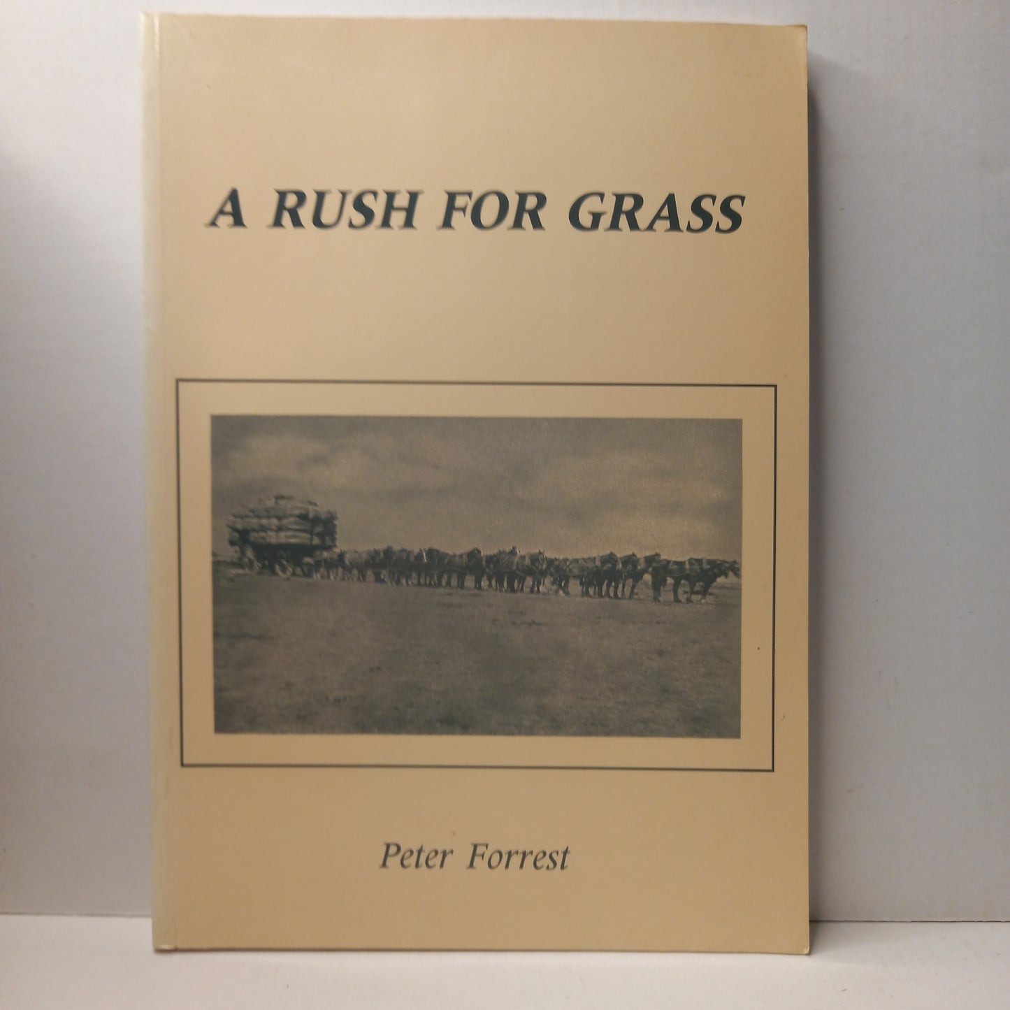 A Rush for Grasses by Peter Forrest-Book-Tilbrook and Co