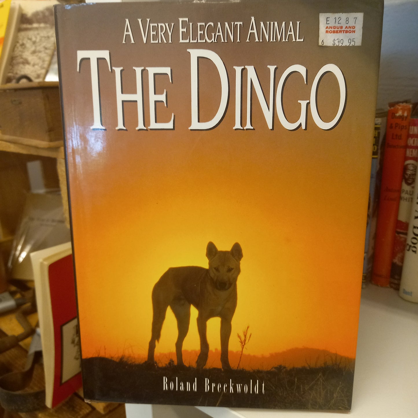 A Very Elegant Animal: The Dingo by Roland Breckwoldt-Book-Tilbrook and Co