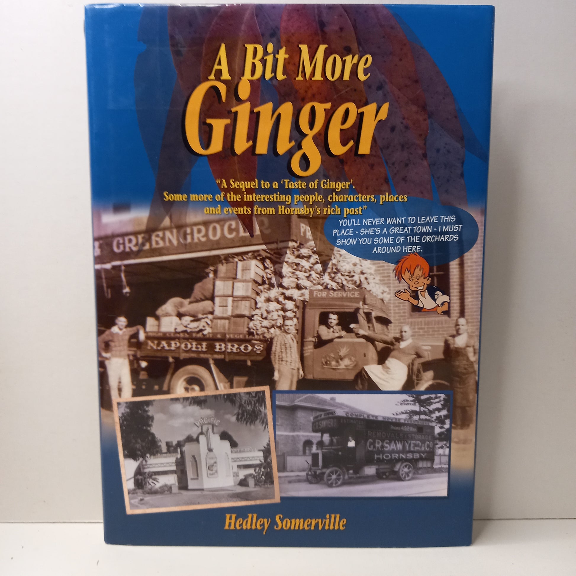 A bit more ginger : a sequel to A taste of ginger : some more of the interesting people, characters, places and events from Hornsby's rich pastby Hedley Somerville-Book-Tilbrook and Co