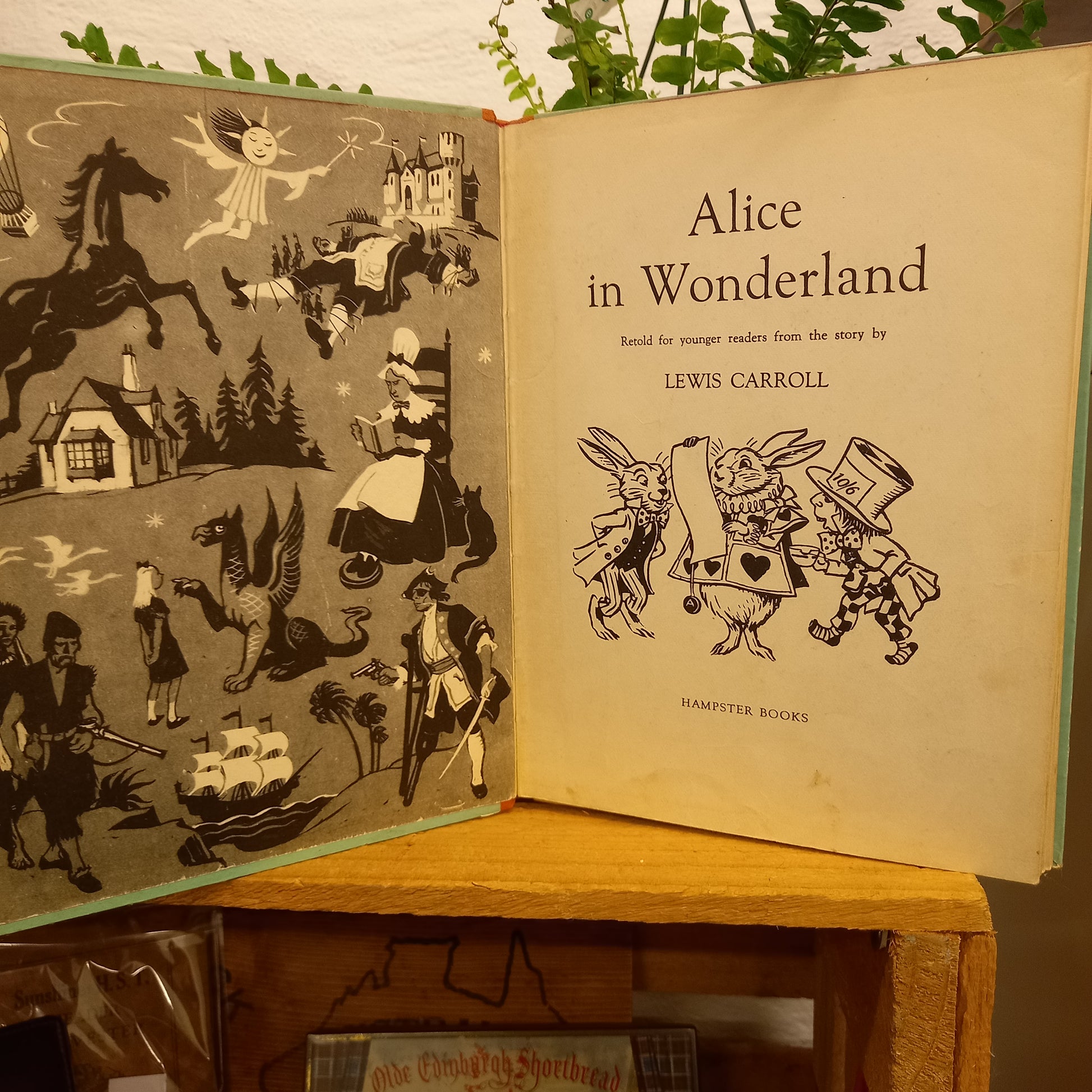 Alice in Wonderland: Early Reader Series 4 by Lewis Carroll-Book-Tilbrook and Co