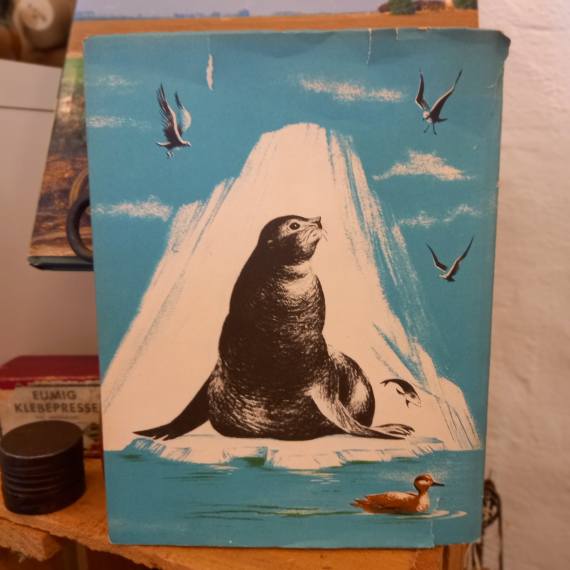 All Kinds of Legs by Solveig Paulson Russell (1964)-Book - Vintage Children's Science Book-Tilbrook and Co