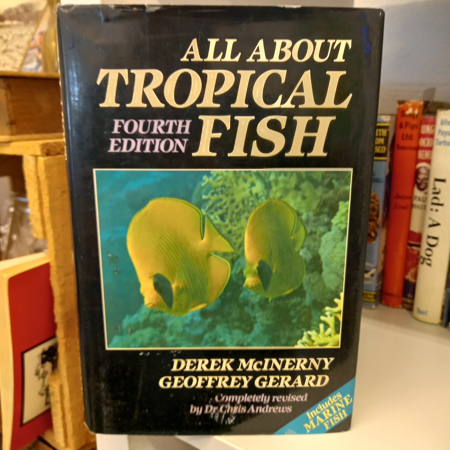 All about tropical fish by Derek McInerny, Geoffrey Gerard