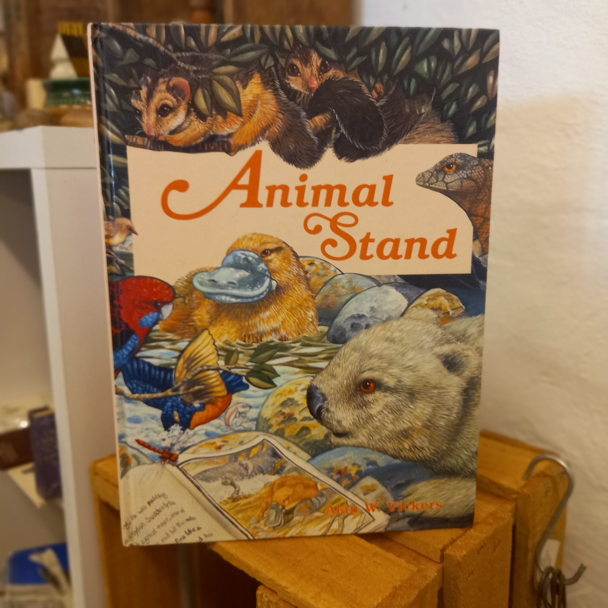 Animal Stand – Alan Vickers (1991 Large-Format Illustrated Children’s Book)-Book - Vintage Children’s Book-Tilbrook and Co