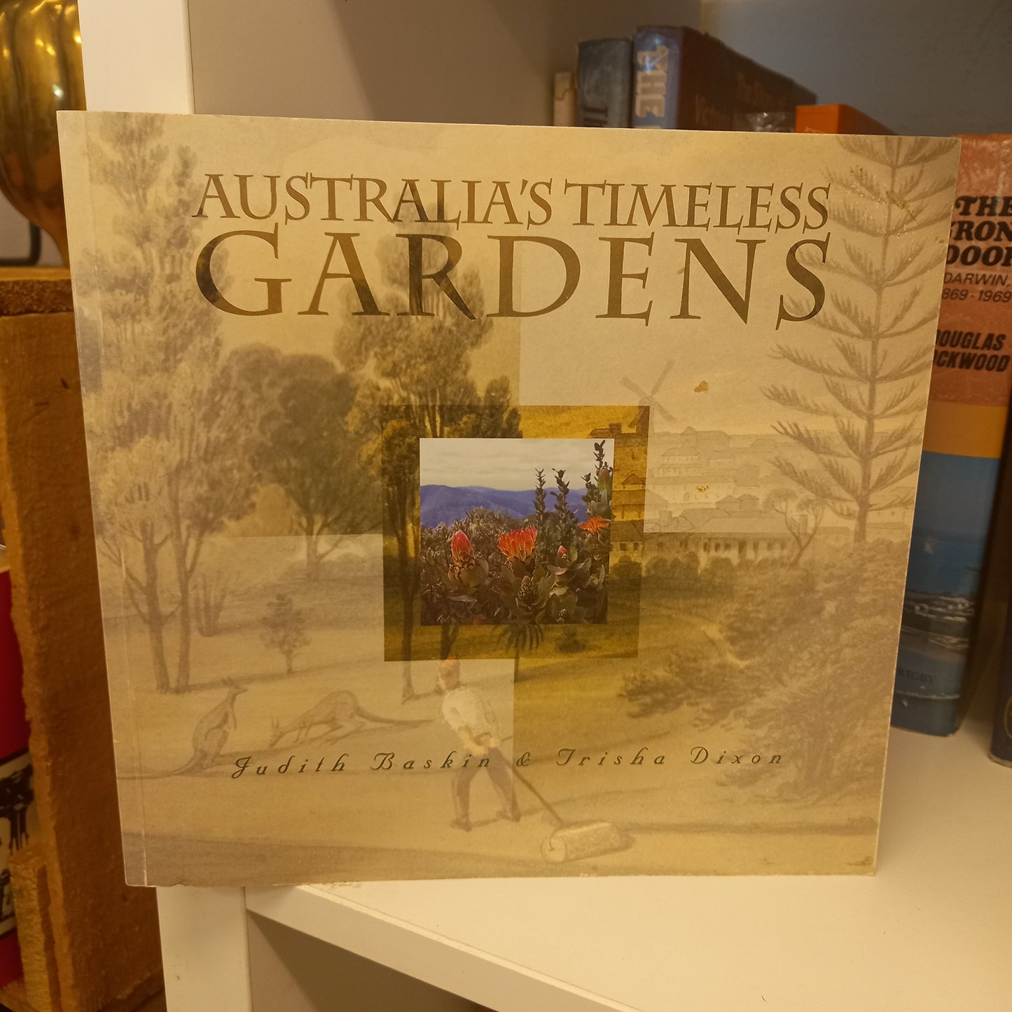 Australia's timeless gardens by Judith Baskin and Trisha Dixon-Book-Tilbrook and Co