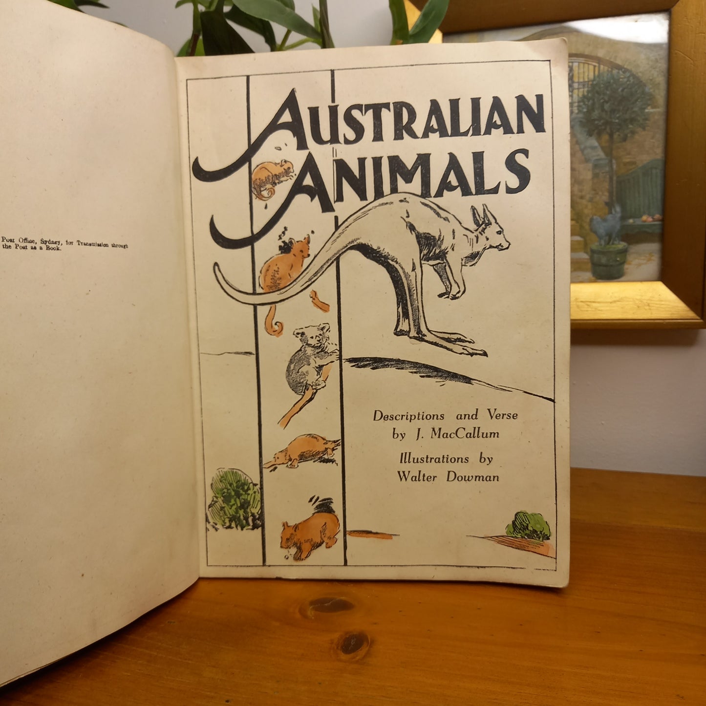 Australian Animals: Descriptions and Verse by J. MacCallum, illustrated by Walter Dowman (c.1942)-Vintage Children’s Book-Tilbrook and Co