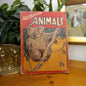 Australian Animals: Descriptions and Verse by J. MacCallum, illustrated by Walter Dowman (c.1942)-Vintage Children’s Book-Tilbrook and Co