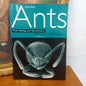 Australian Ants: Their Biology and Identification-Book-Tilbrook and Co