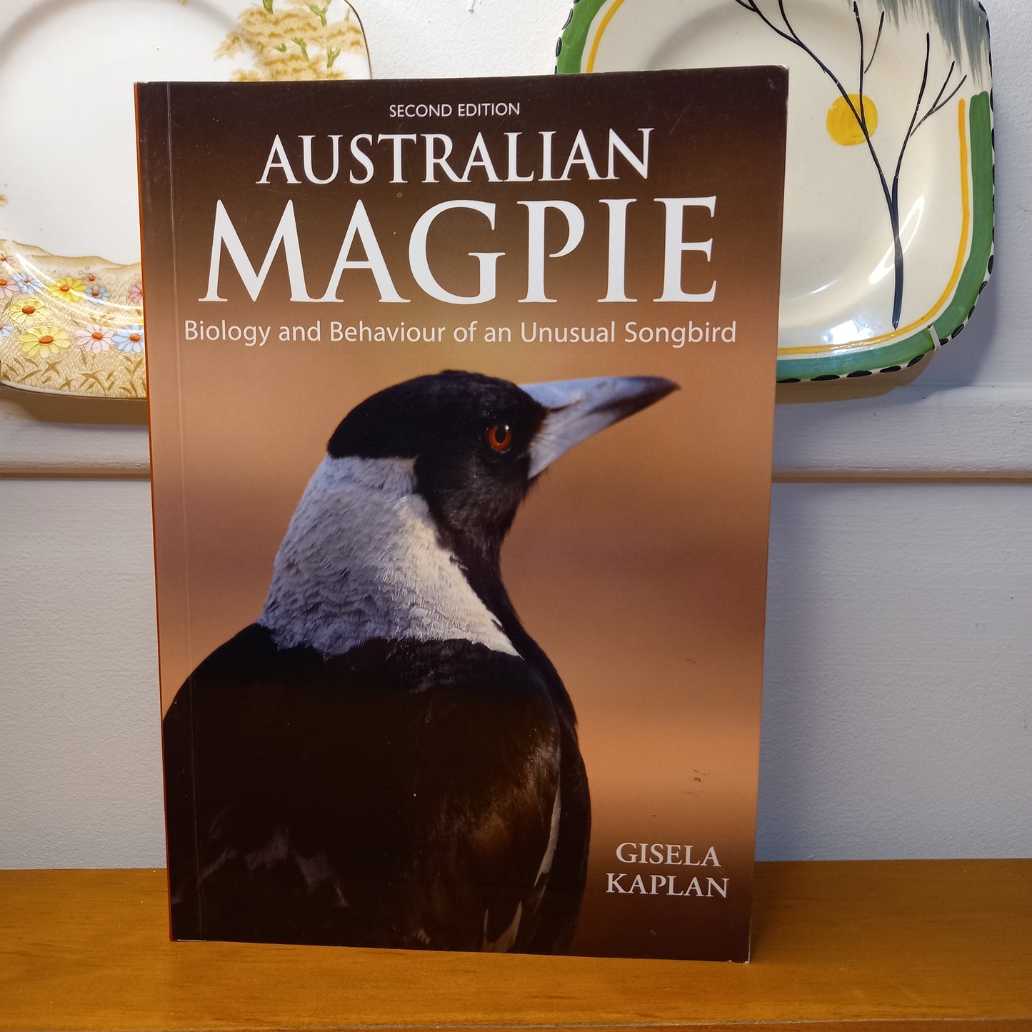 Australian Magpie: Biology and Behaviour of an Unusual Songbird by Gisela Kaplan-Book-Tilbrook and Co