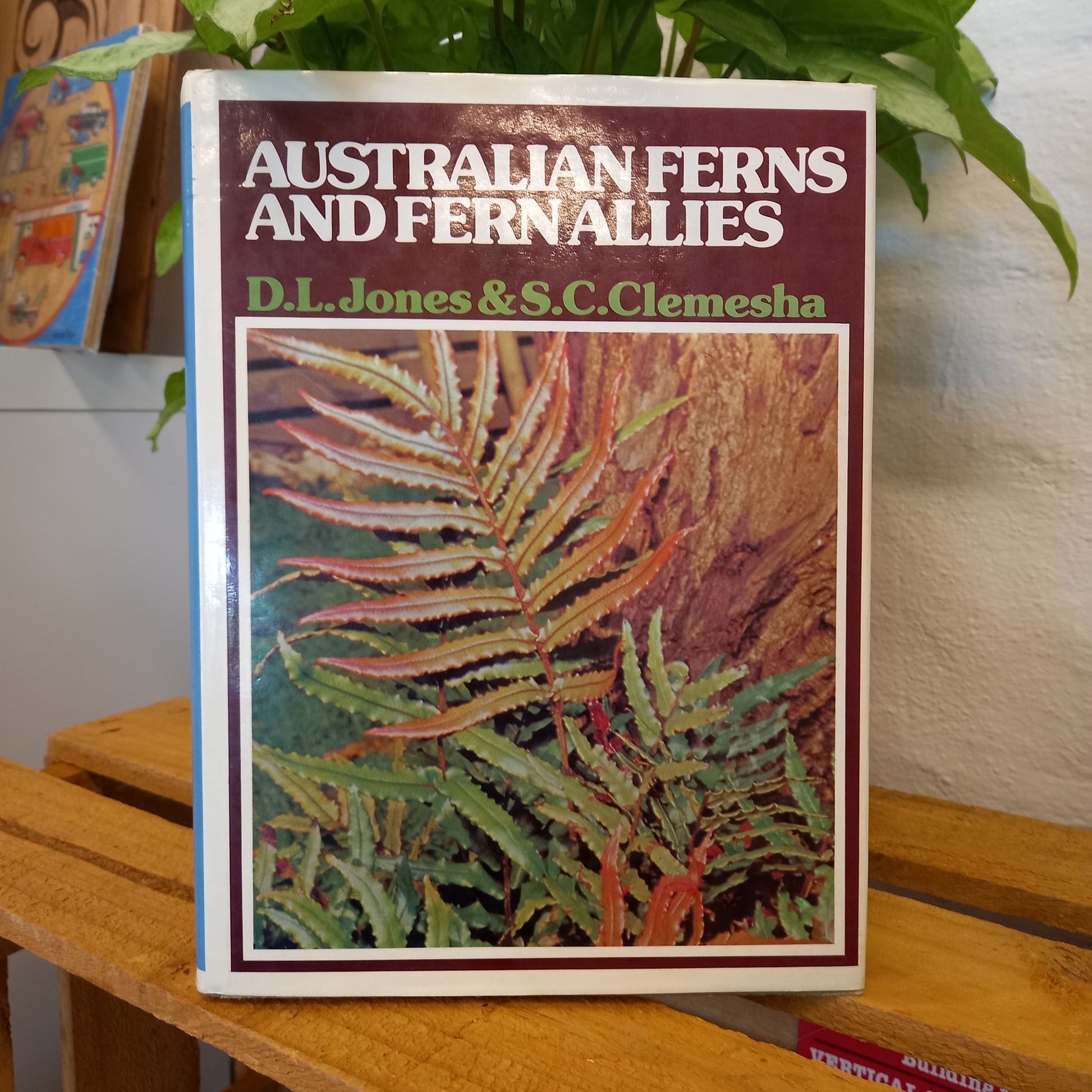 Australian ferns and fern allies, with notes on their cultivation by David L Jones and S C Clemesha-Book-Tilbrook and Co