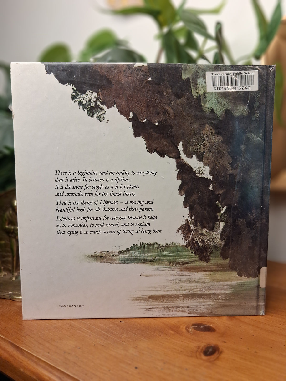Beginnings and Endings with Lifetimes in Between – Bryan Mellonie & Robert Ingpen (1997 Reprint)-Australian Children’s Book-Tilbrook and Co