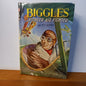 Biggles Pioneer Air Fighter by Capt. W.E. Johns-Book-Tilbrook and Co