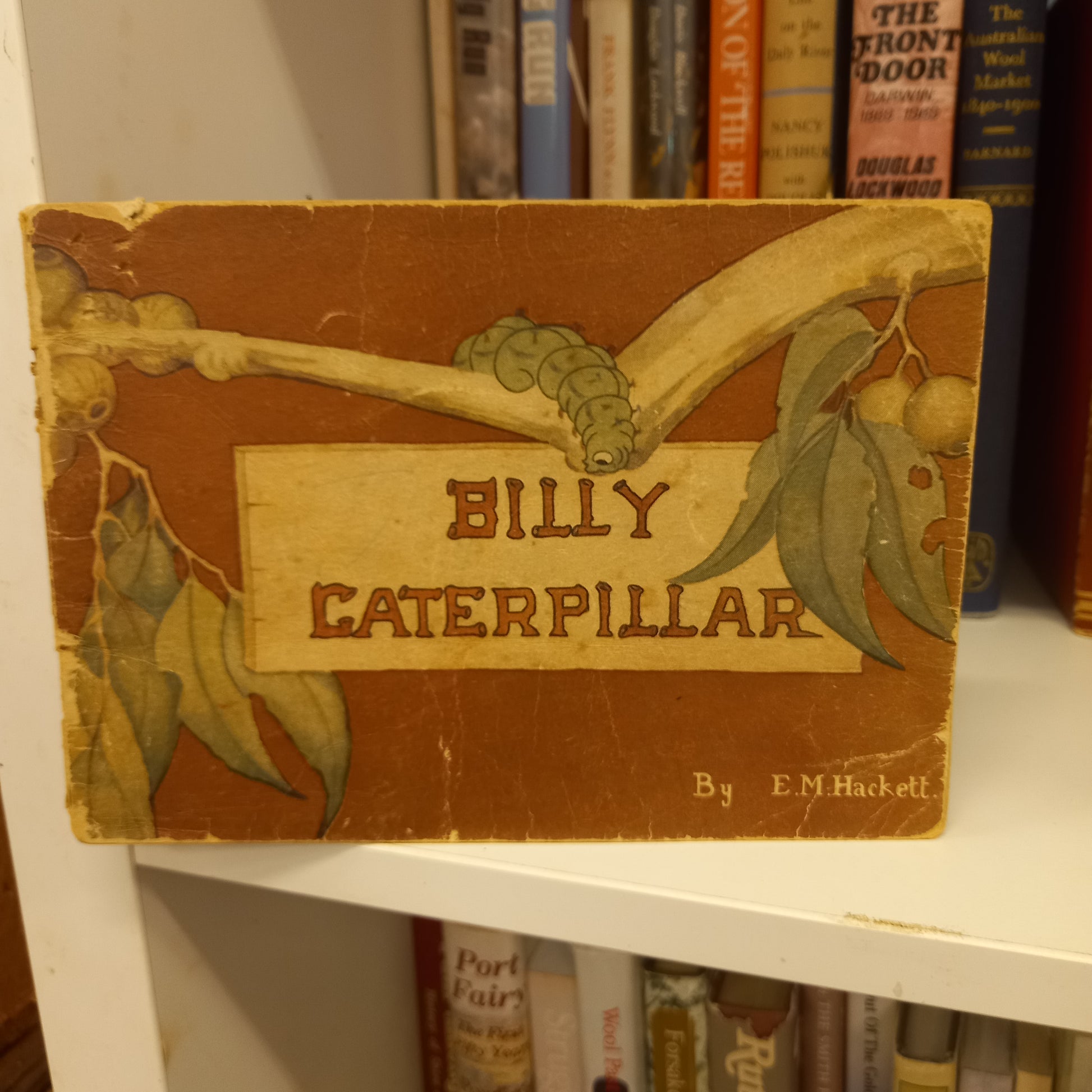 Billy Caterpillar by E. M. Hackett-Book-Tilbrook and Co