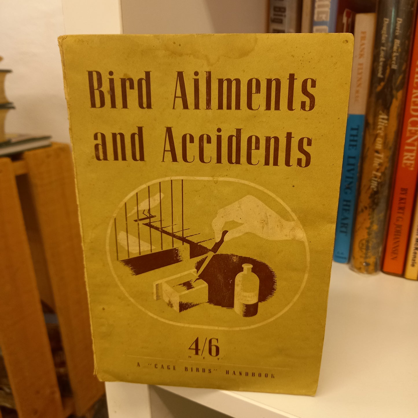 Bird ailments and accidents: their treatment and cure by Claude St John-Books-Tilbrook and Co