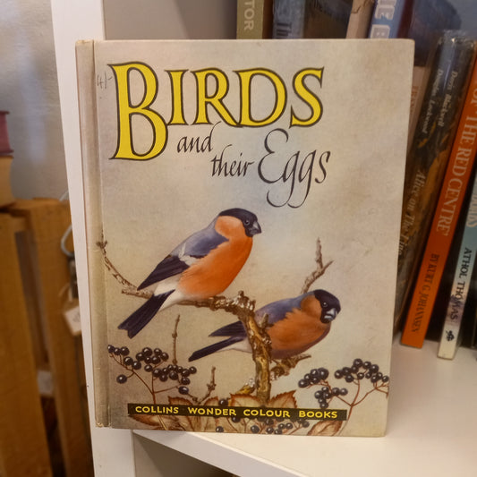Birds and Their Eggs by David Stephen (Collins, London)-Book - Children’s nature book / Vintage wildlife guide-Tilbrook and Co