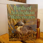 Birds of Australian Waterways – Australian Wildlife Series (Bay Books, 1981) | Vintage Bird Book-Vintage Children's Books / Australian Natural History-Tilbrook and Co