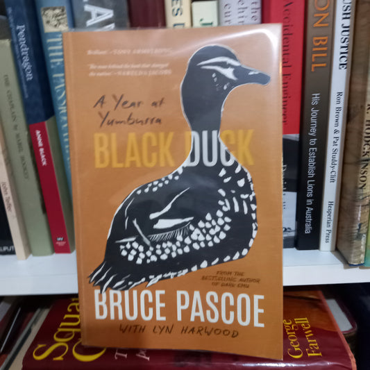 Black Duck by Bruce Pascoe-Book-Tilbrook and Co