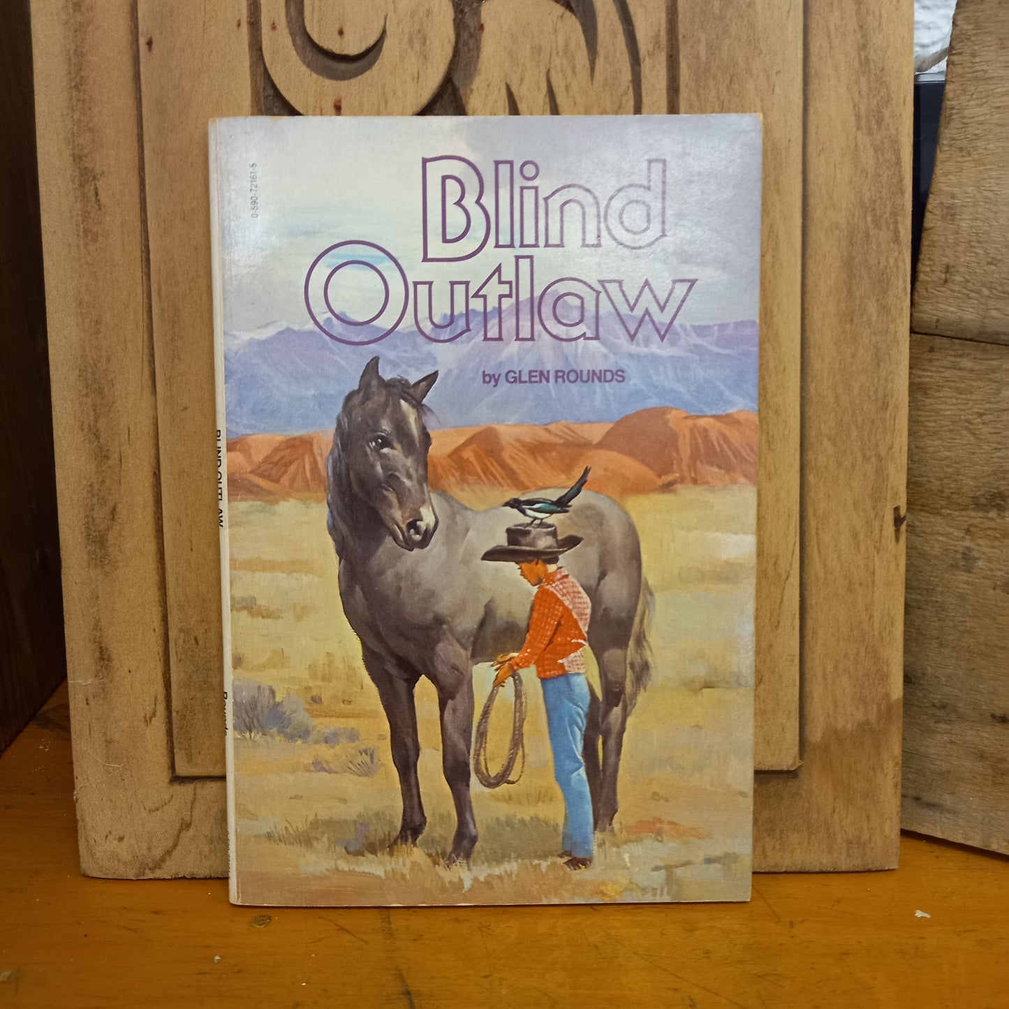 Blind Outlaw by Glen Rounds-Book-Tilbrook and Co