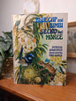 Bluecap and Bimbi; Gecko; and Mokee by Leslie Ree-Vintage Australian Children’s Book / Animal Stories / Australian Bushland Stories-Tilbrook and Co
