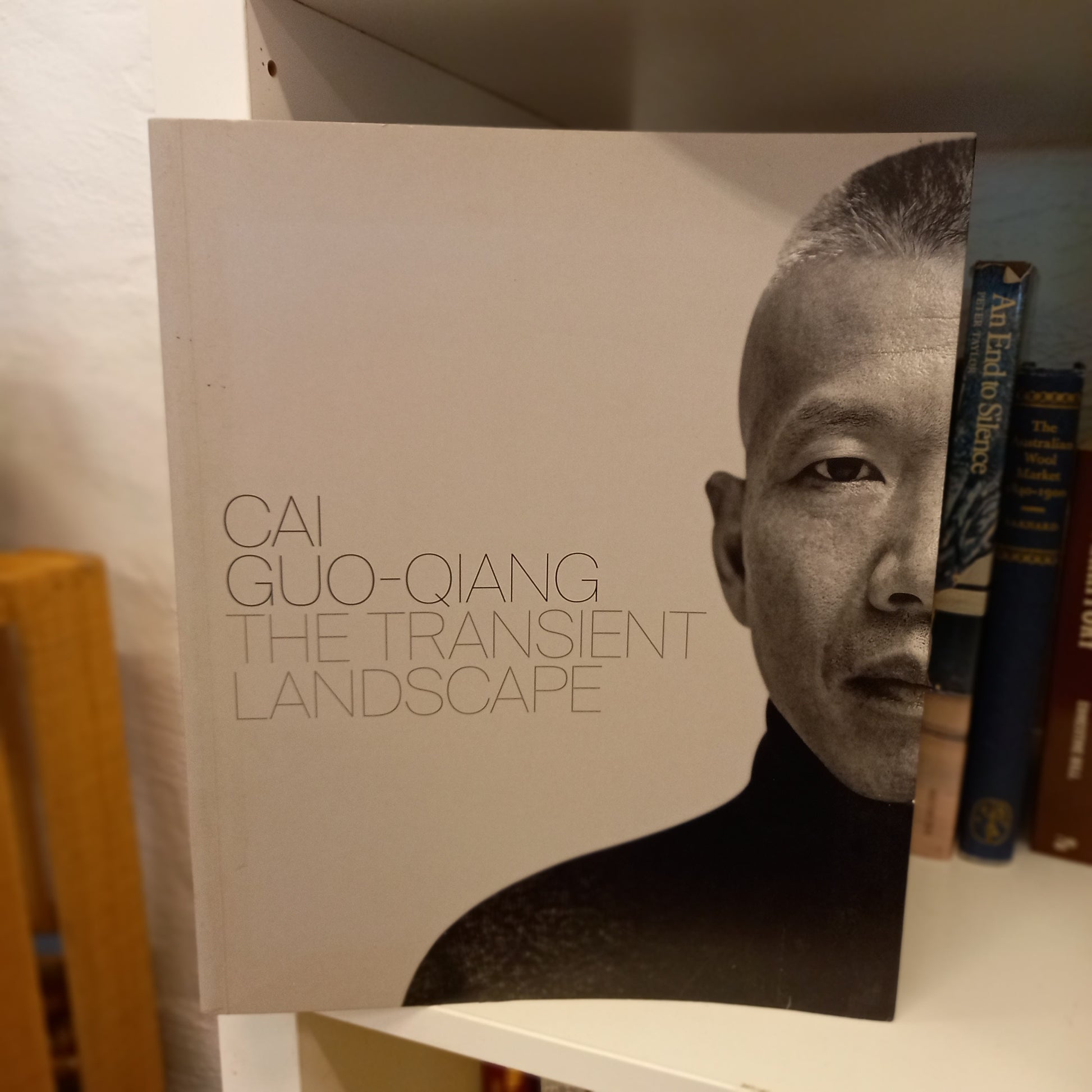 Cai Guo-Qiang: The Transient Landscape by Lesley Ma, Cai Guo-Qiang & Yuko Hasegawa-Books-Tilbrook and Co