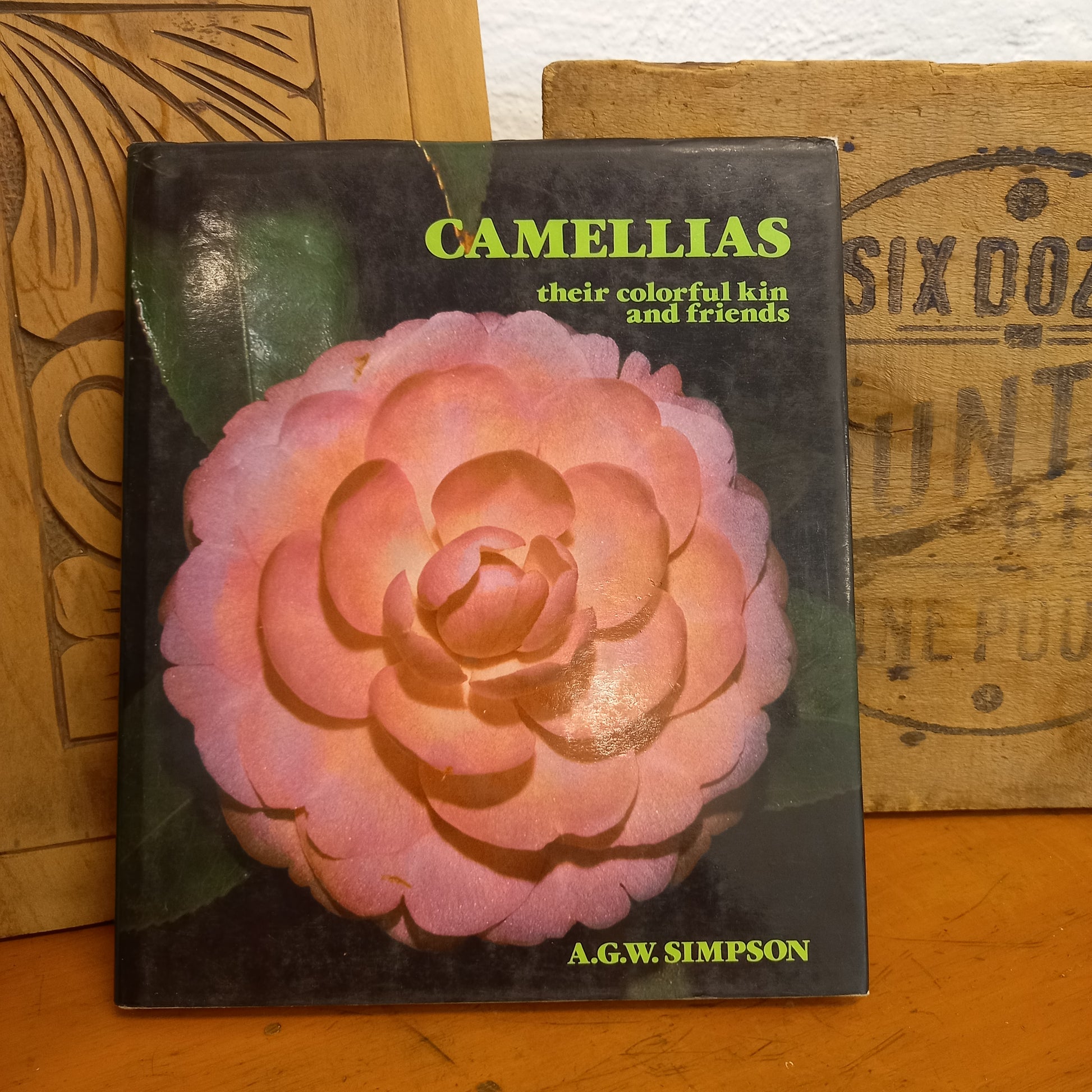 Camellias Their Colorful Kin and Friends by A.G. W. Simpson-Book-Tilbrook and Co