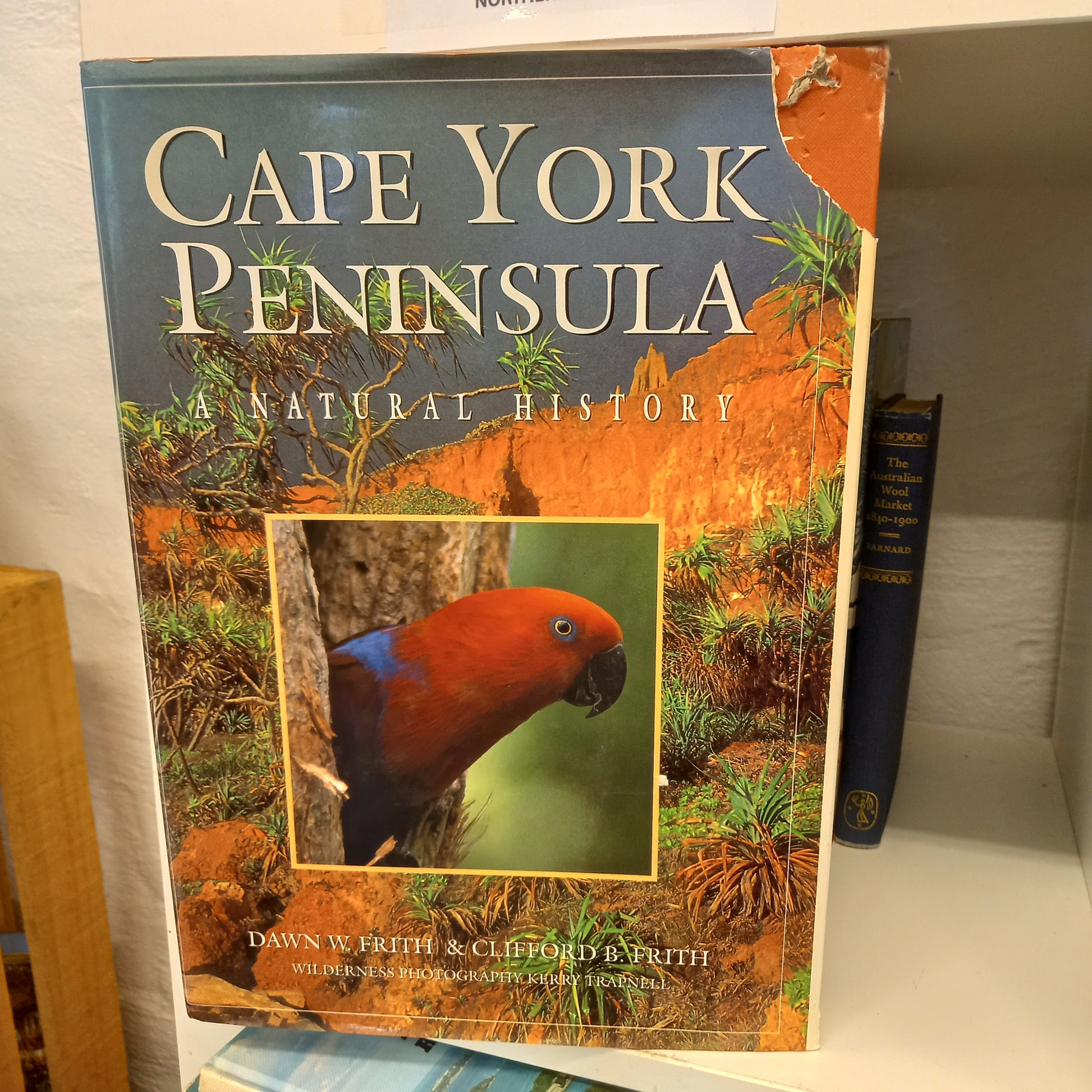 Cape York Peninsula: A Natural History by Dawn W. Frith; Clifford B. Frith-Books-Tilbrook and Co