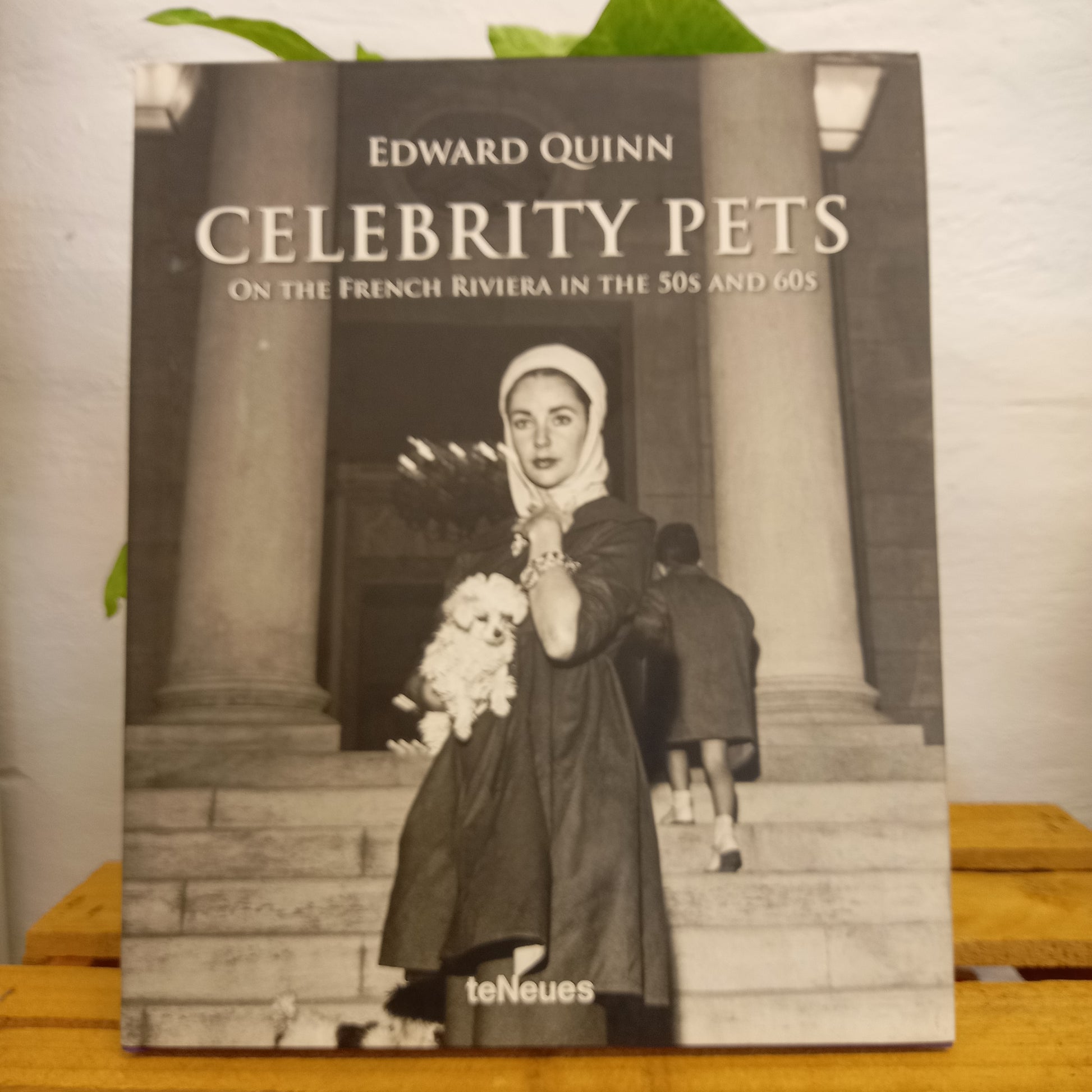 Celebrity Pets by Edwin Quinn-Book-Tilbrook and Co