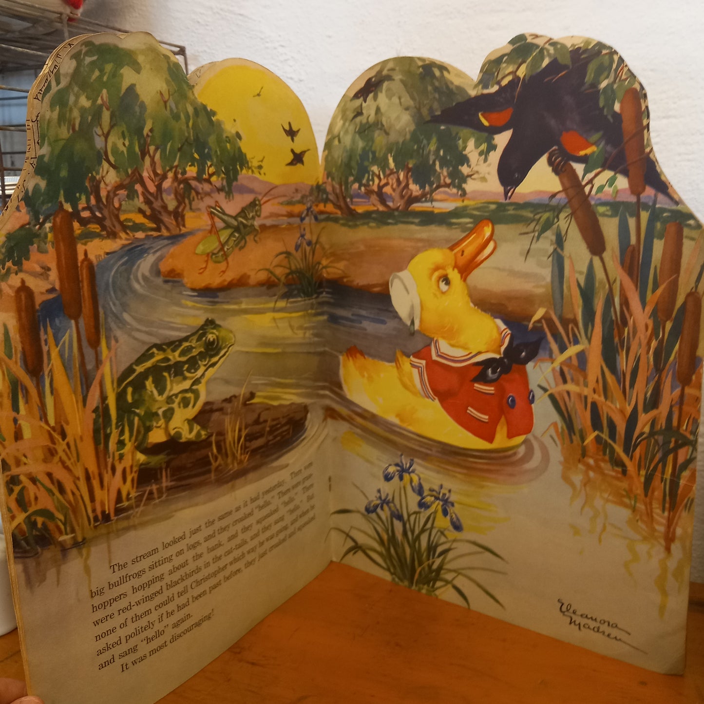 Christopher Duck and the Saucy Matilda Illustrated by Elenora Madsen-Book-Tilbrook and Co