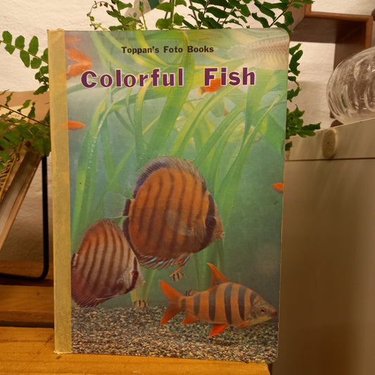 Colorful Fish Toppan's Foto Books-Book-Tilbrook and Co