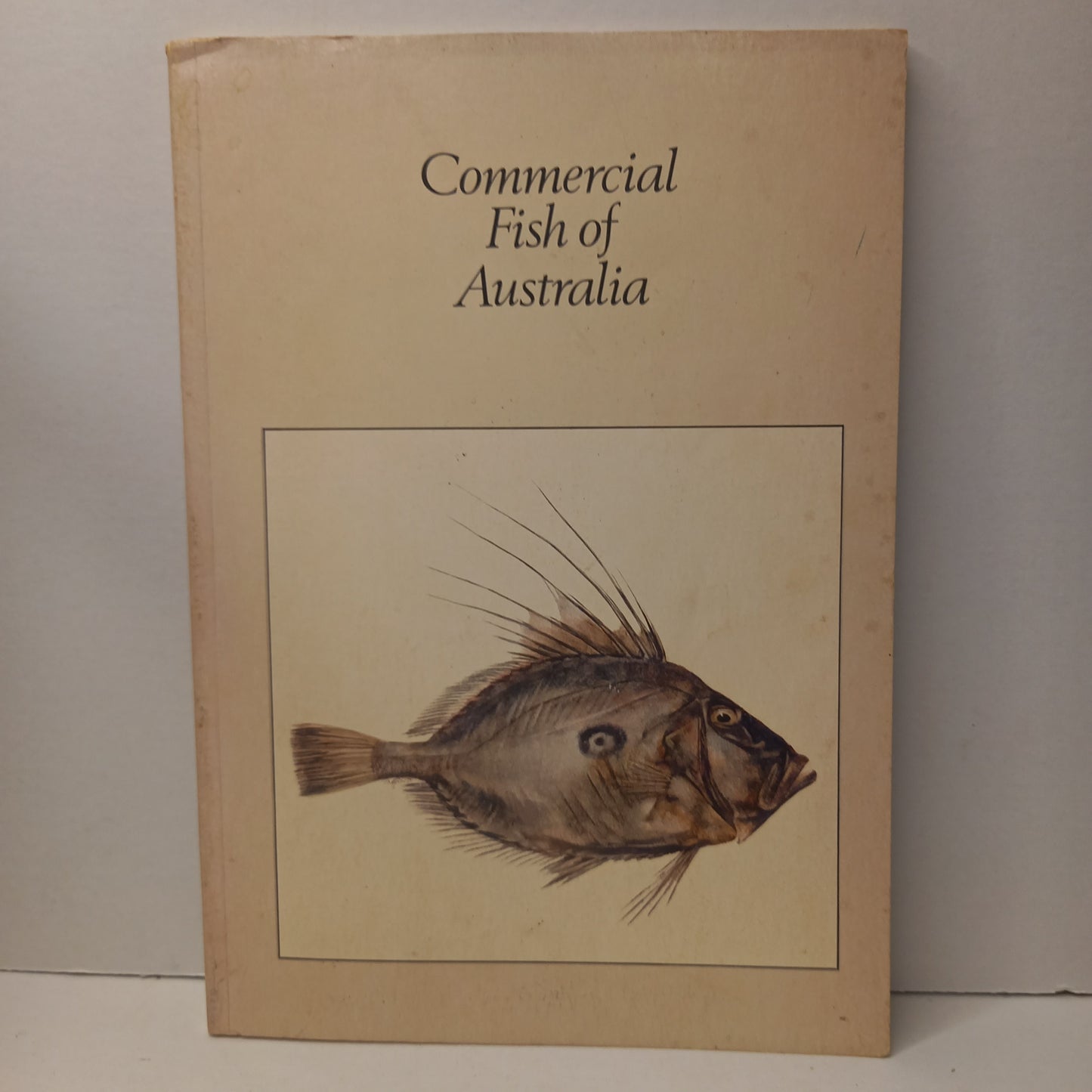 Commercial Fish of Australia by Peter Pownall [Editor]-Book-Tilbrook and Co