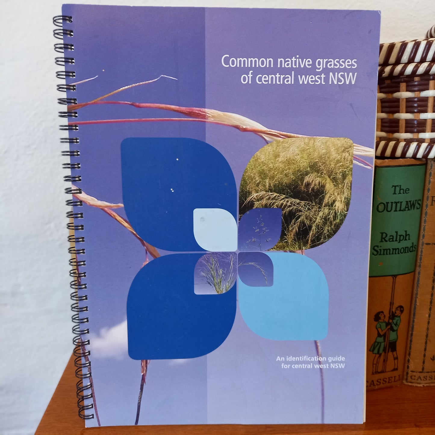 Common native grasses of central west nsw-Book-Tilbrook and Co