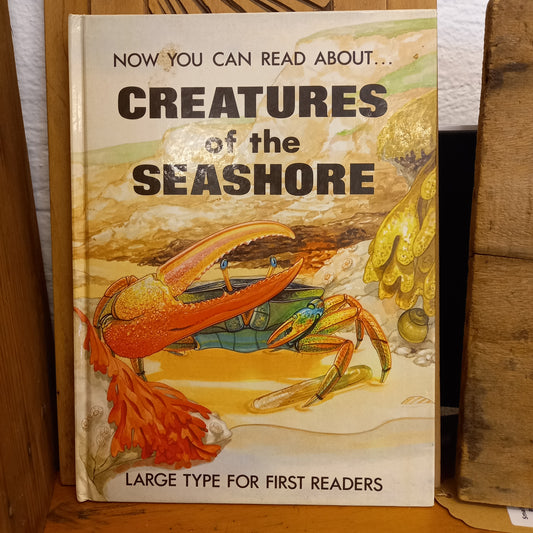 Creatures of the Seashore by Kate Londesborough-Book-Tilbrook and Co