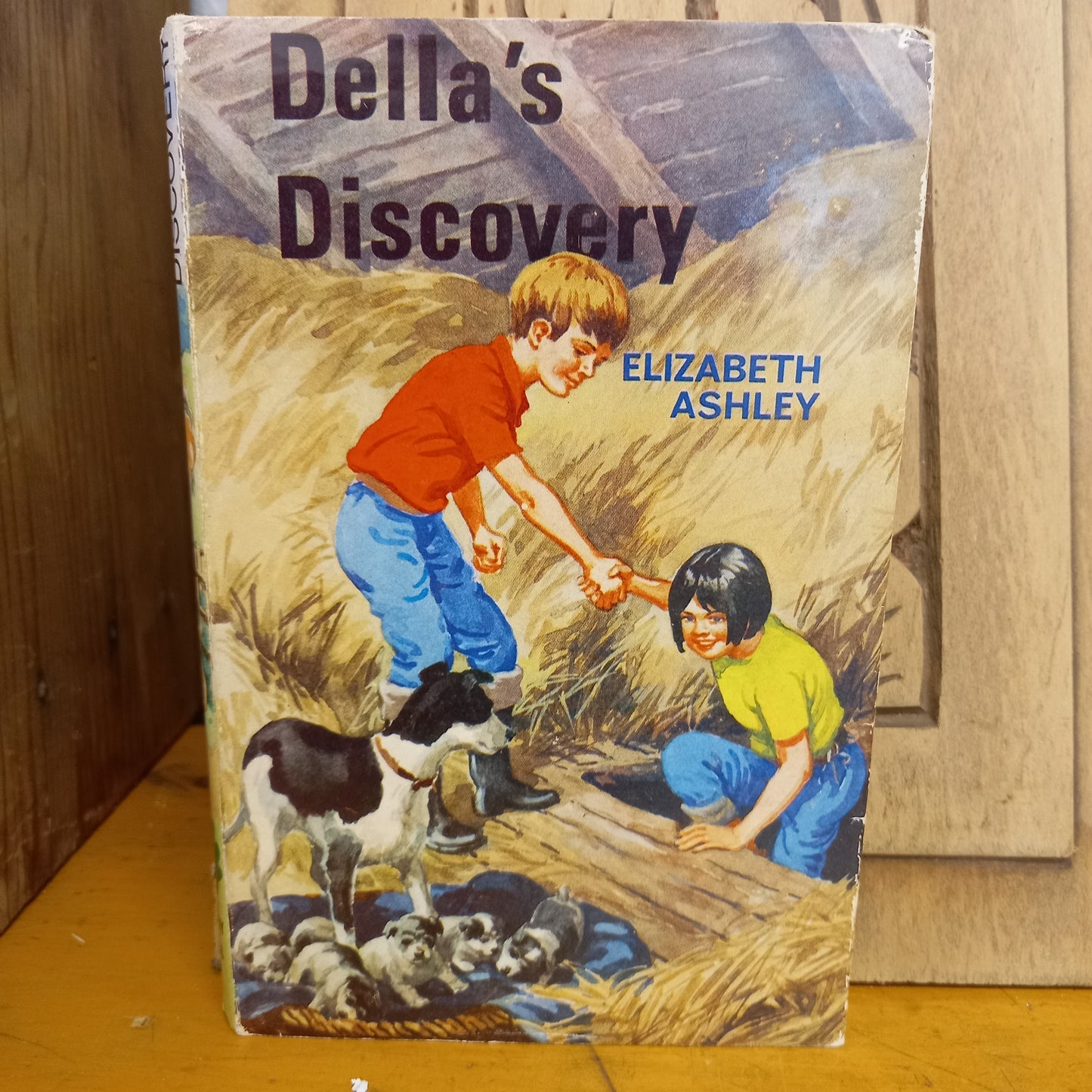 Della's Discovery (Oak Leaf Books) by Elizabeth Ashley-Book-Tilbrook and Co